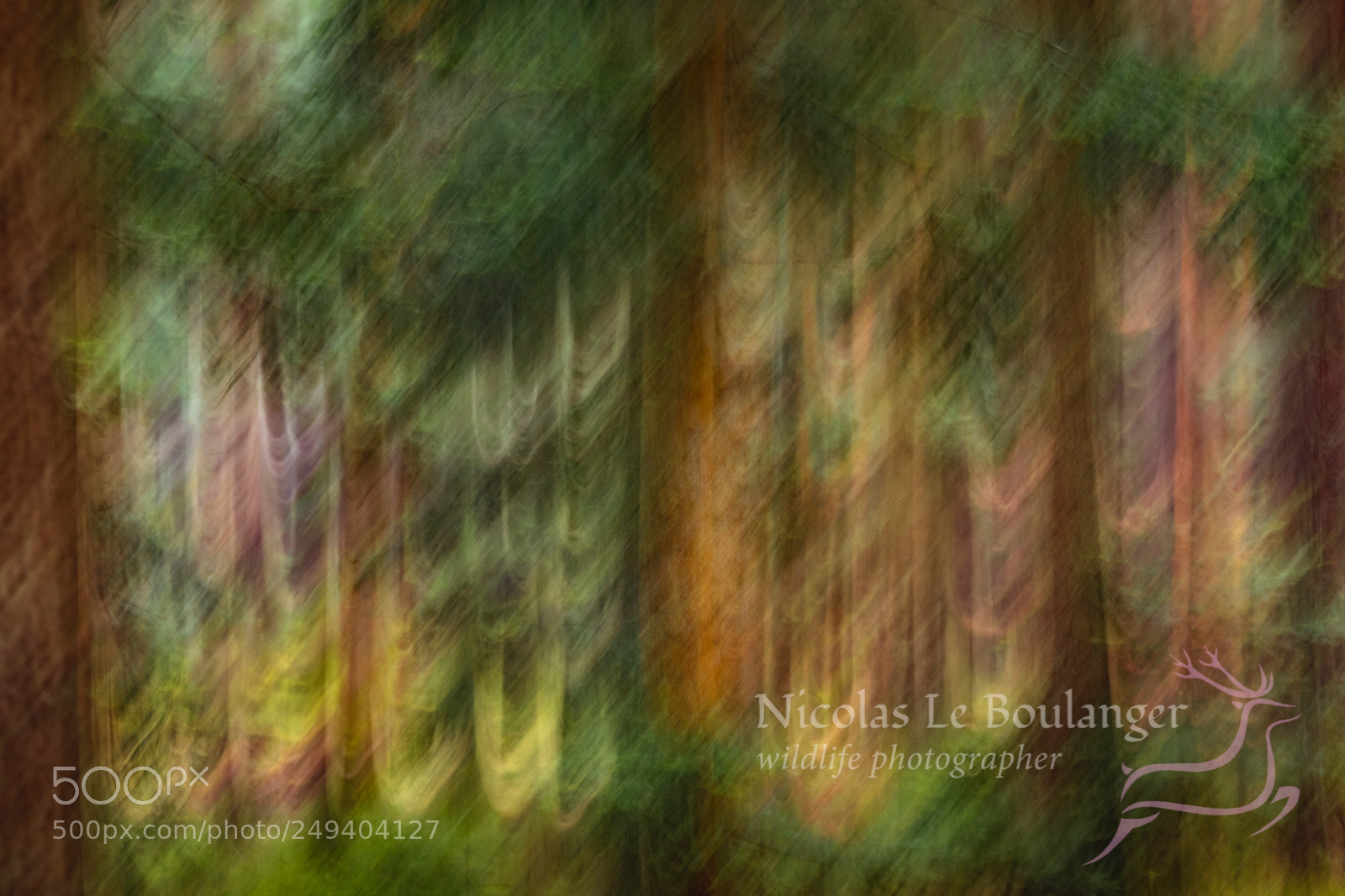 Canon EOS 80D sample photo. Abstraction photography