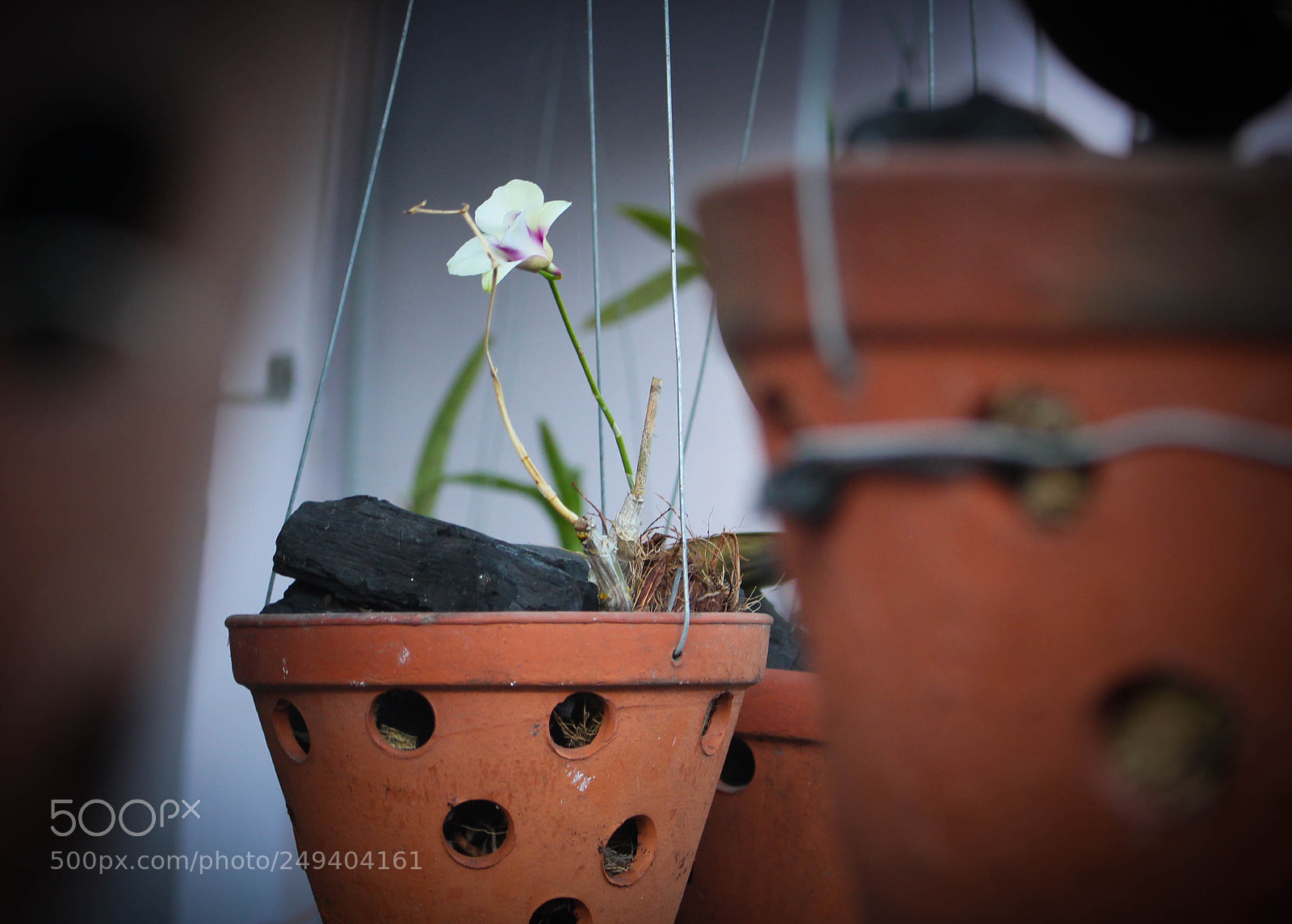 Canon EOS 550D (EOS Rebel T2i / EOS Kiss X4) sample photo. Img photography