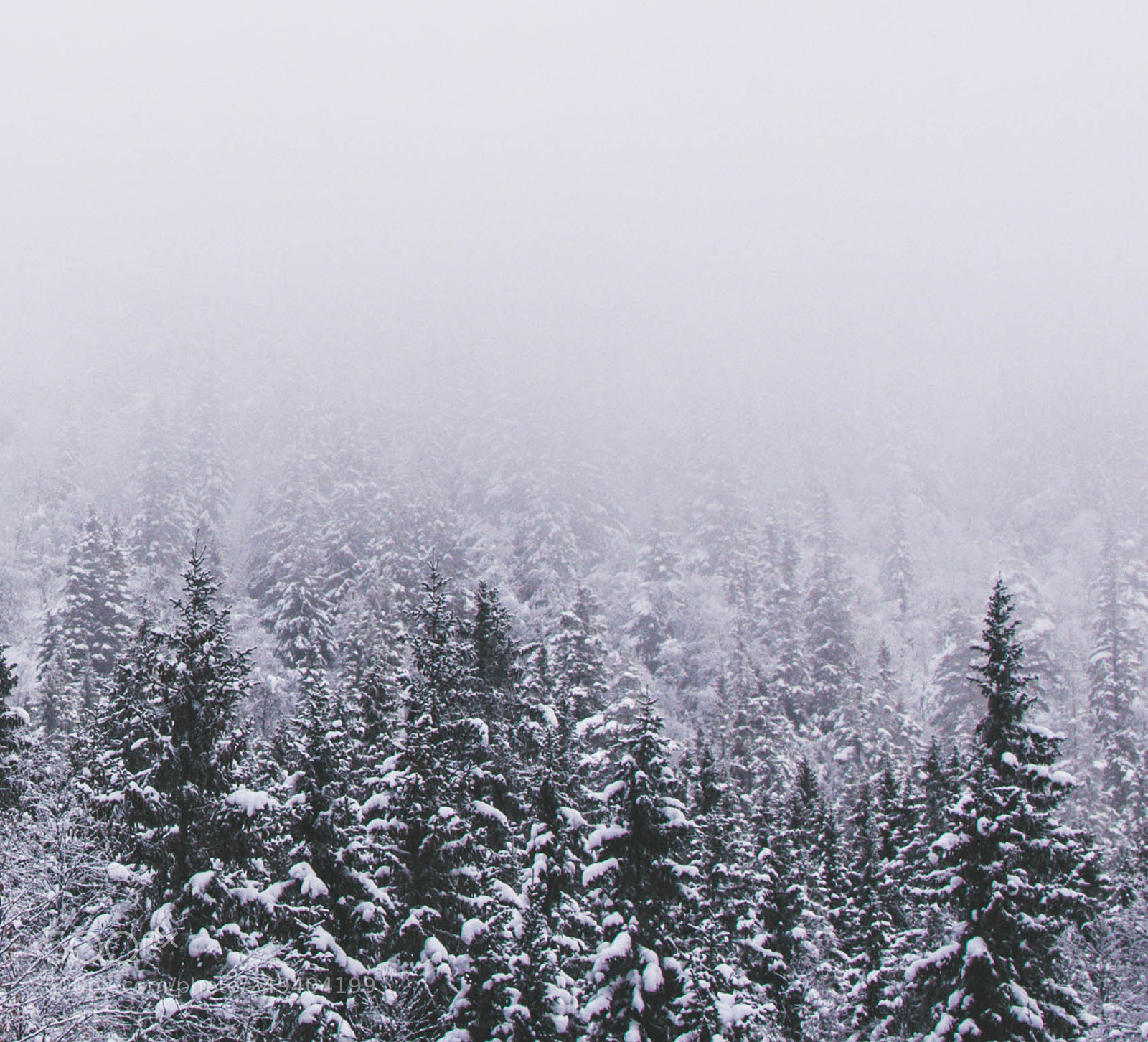 Nikon D7100 sample photo. Winterlandscape photography