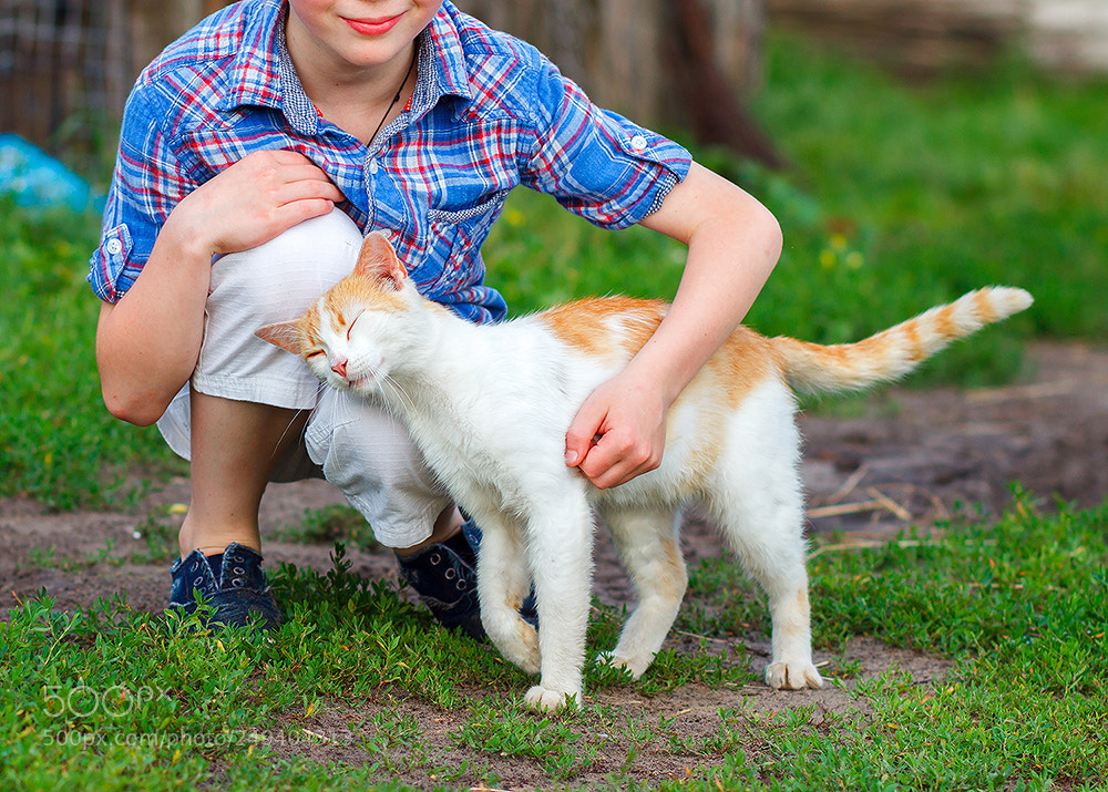 Canon EOS 600D (Rebel EOS T3i / EOS Kiss X5) sample photo. Ginger cat tenderly rubs photography