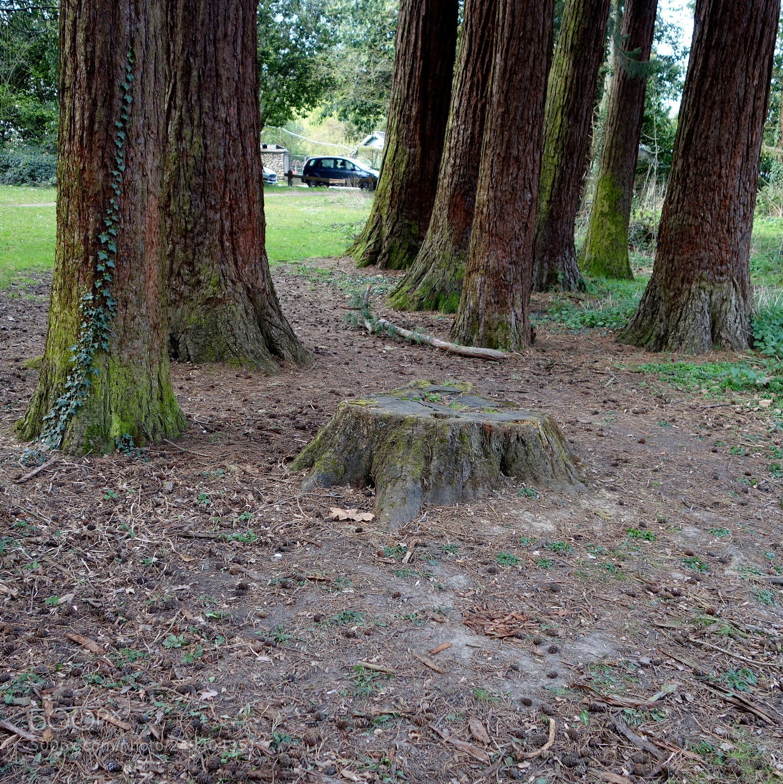 Sony Cyber-shot DSC-RX100 II sample photo. () cvp lot photography