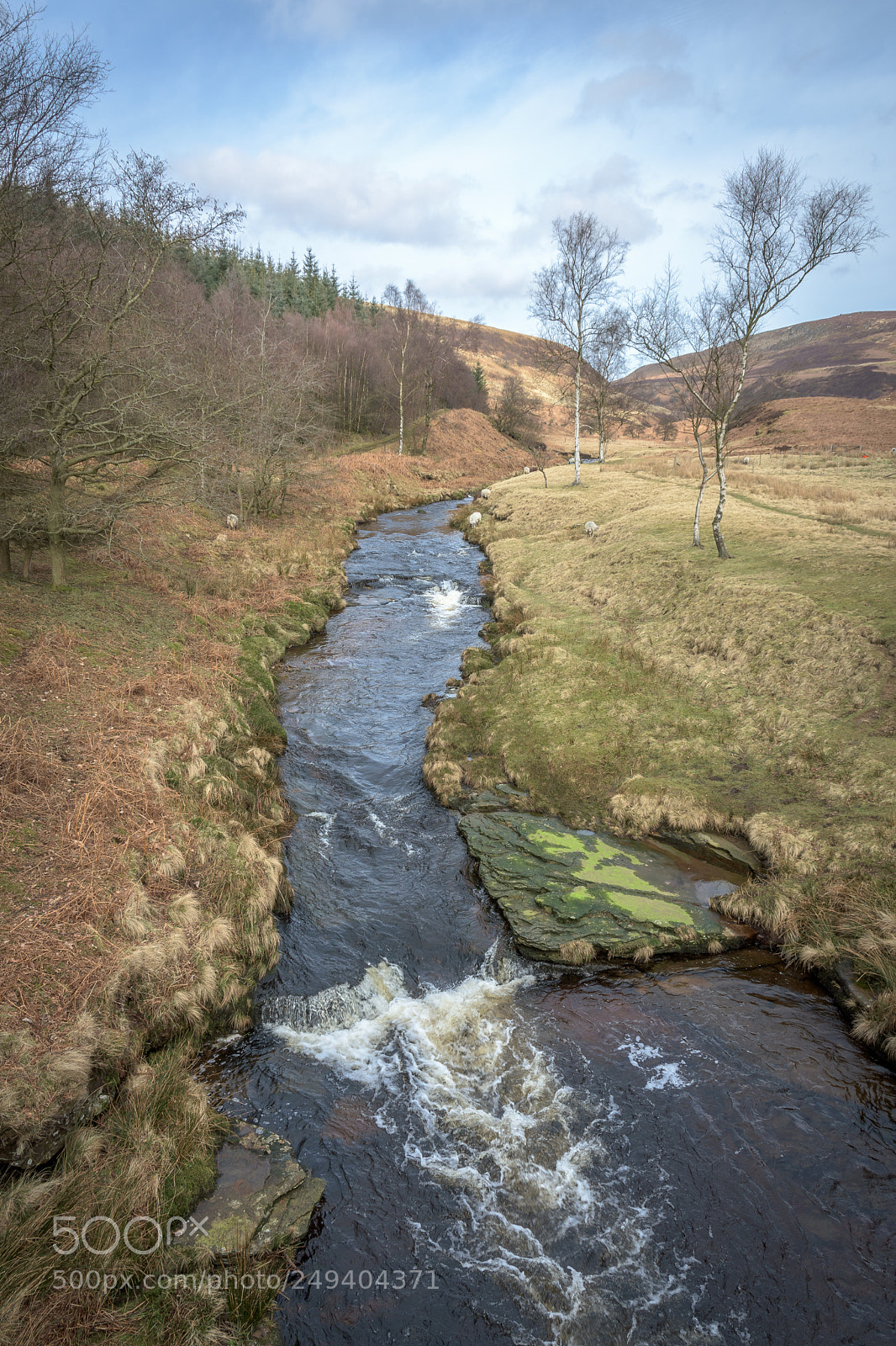 Nikon D7200 sample photo. River derwent at slippery photography