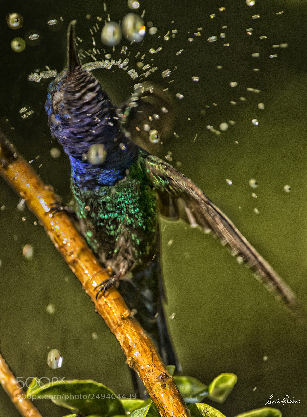 Nikon D800E sample photo. Shower ii photography