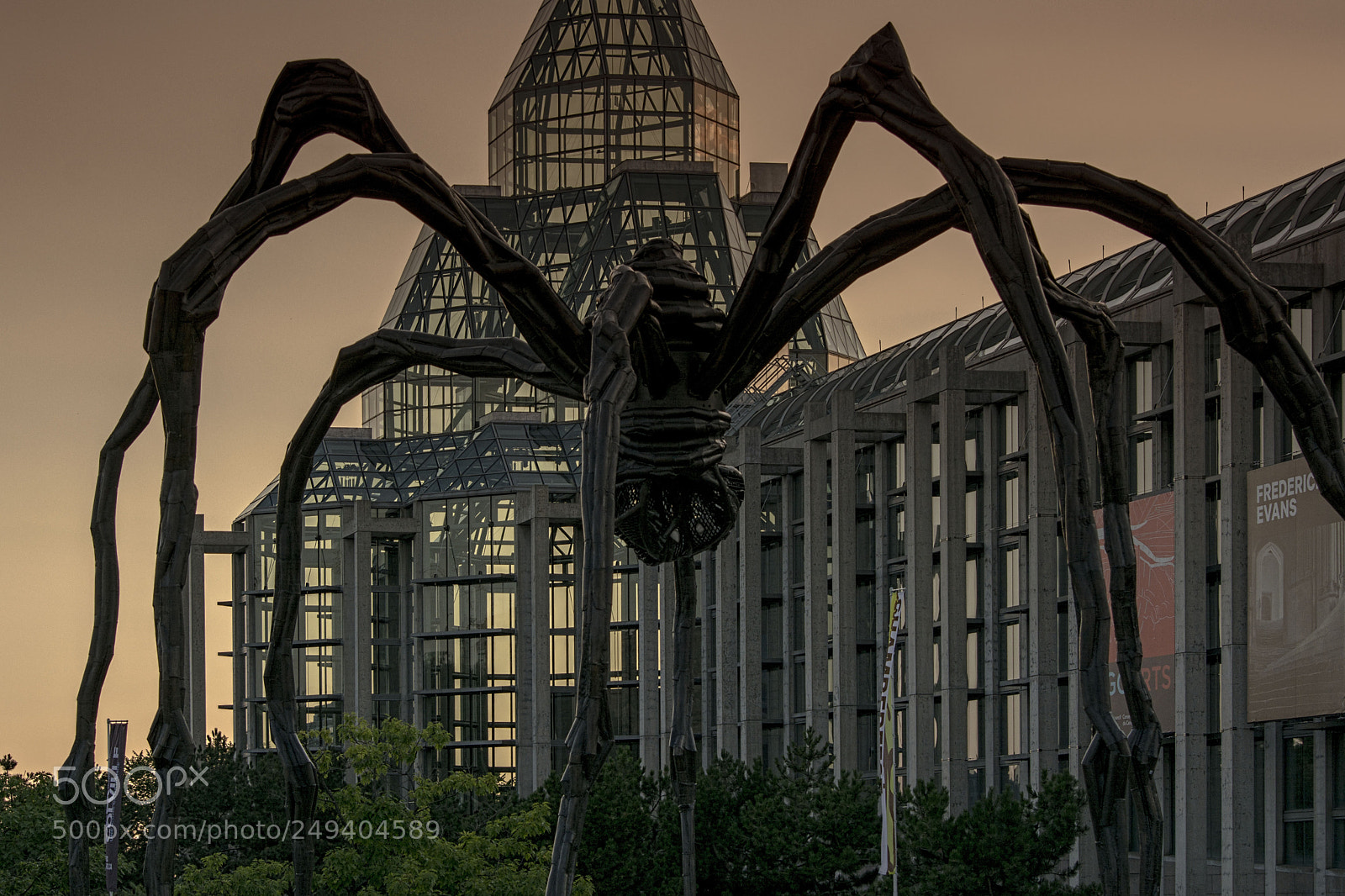 Nikon D5200 sample photo. Giant spider... photography