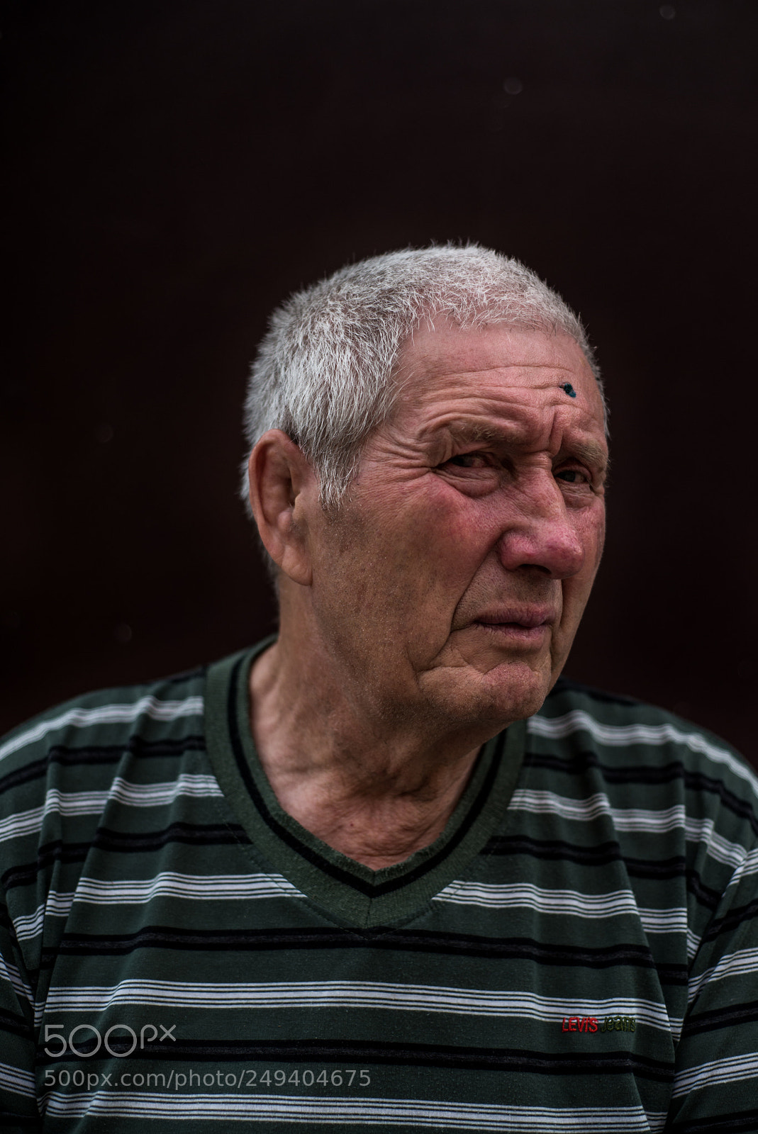 Nikon D610 sample photo. Bill photography