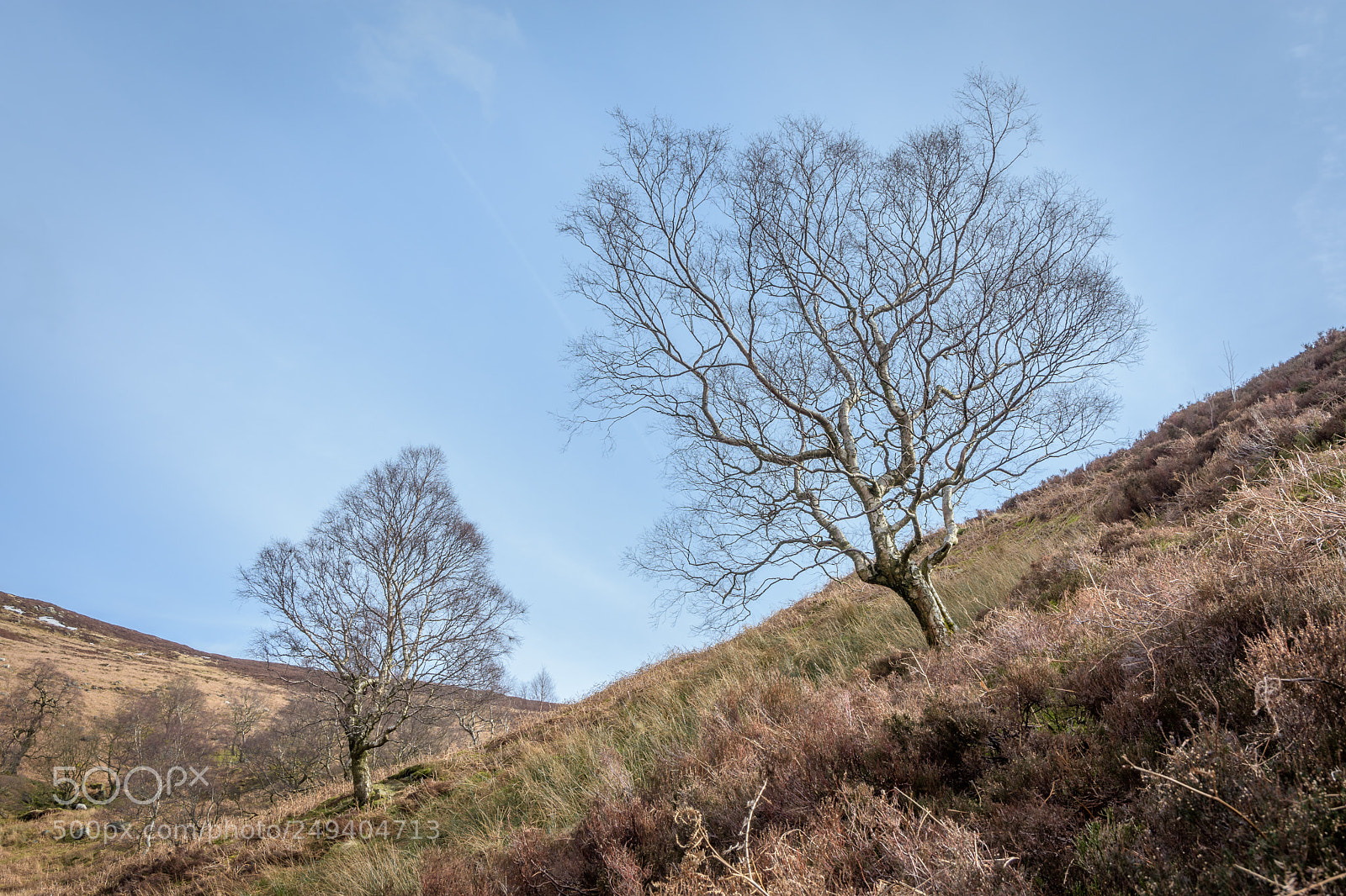 Nikon D7200 sample photo. Two trees, broadhead clough photography