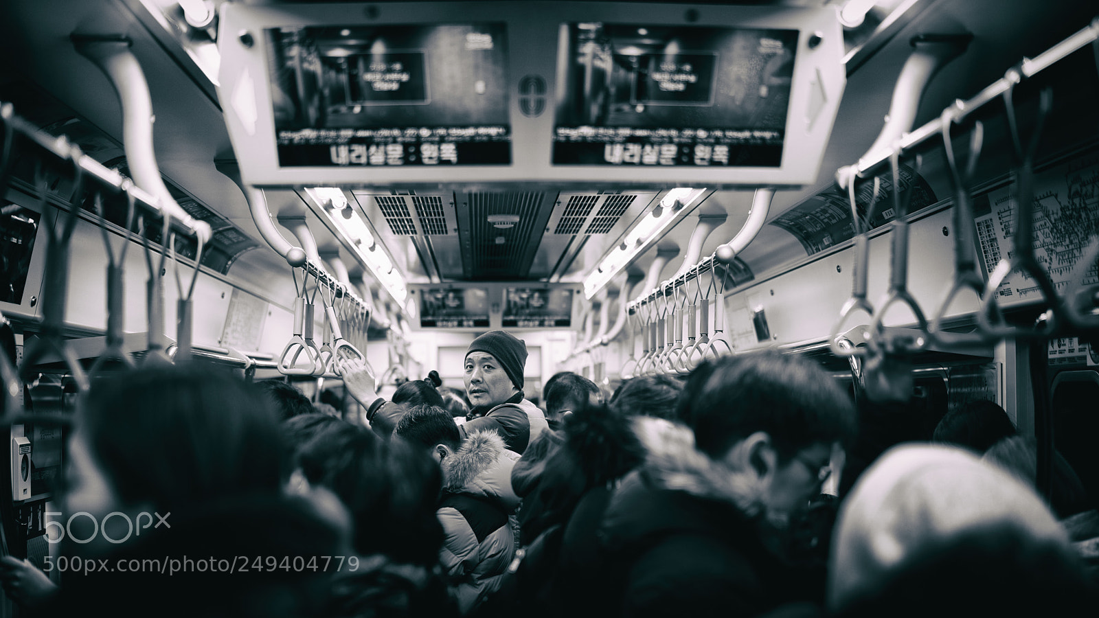 Sony a7R II sample photo. Standing tall photography