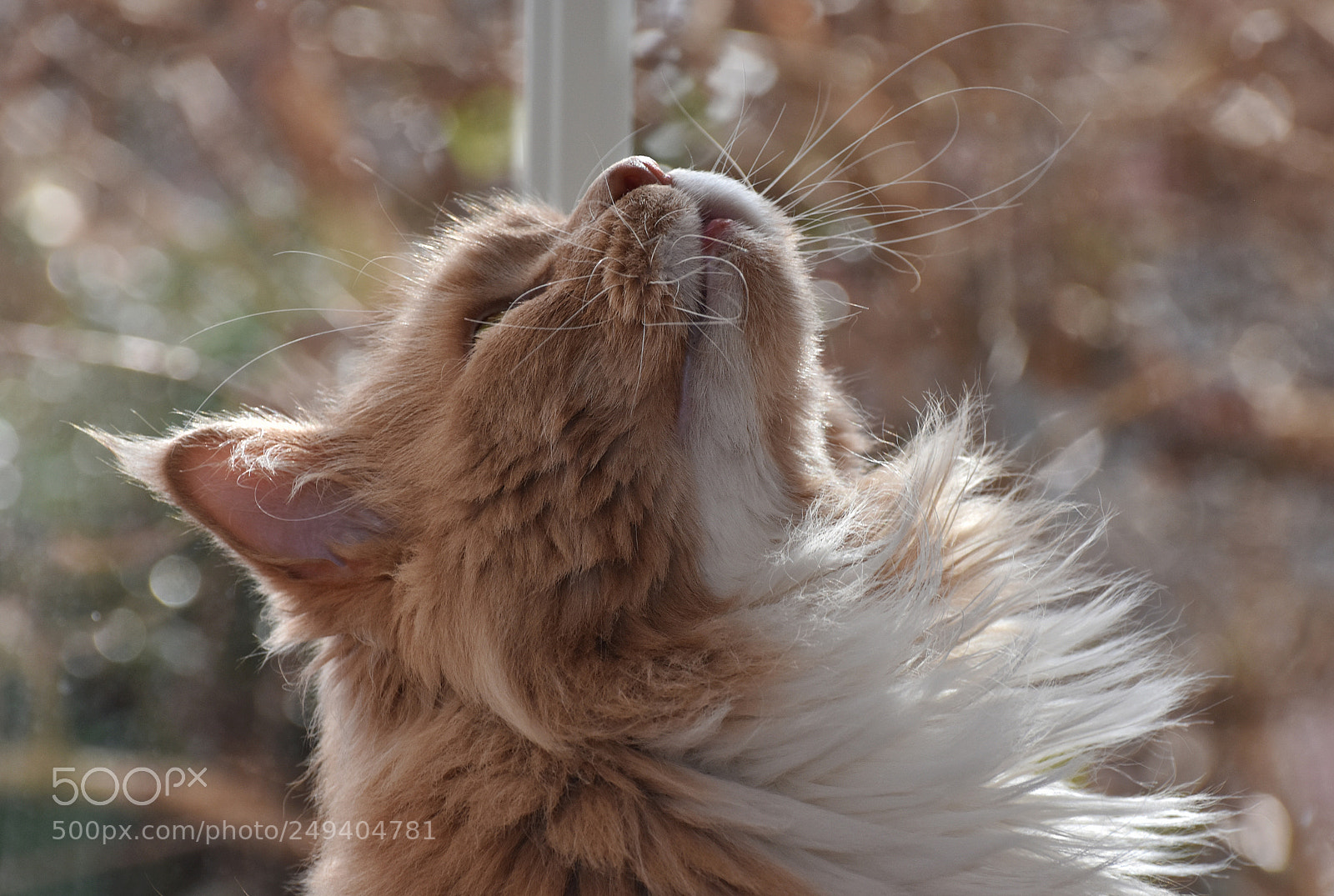 Nikon D7200 sample photo. What's up there? photography