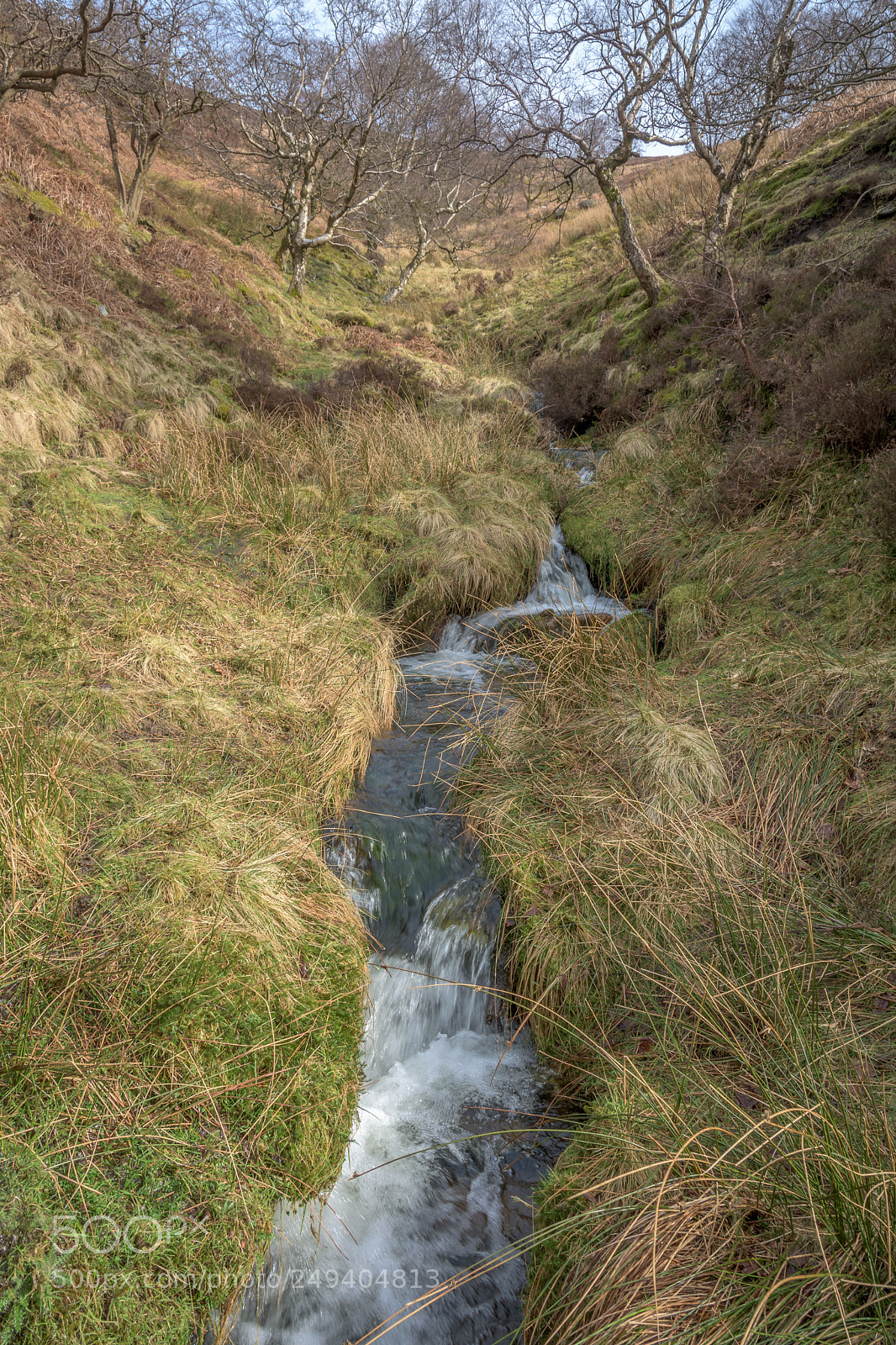 Nikon D7200 sample photo. Broadhead clough, river derwent photography