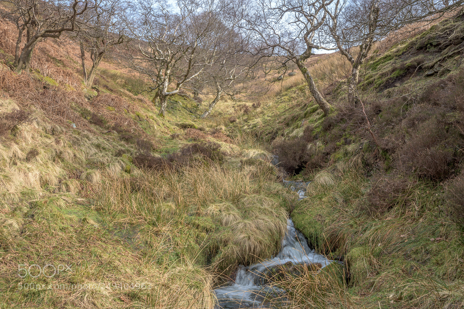 Nikon D7200 sample photo. Broadhead clough, river derwent photography