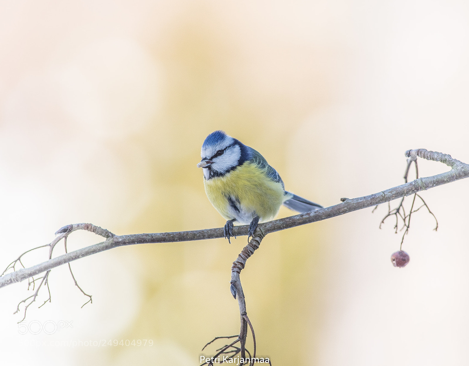 Canon EOS 7D Mark II sample photo. Spring photography