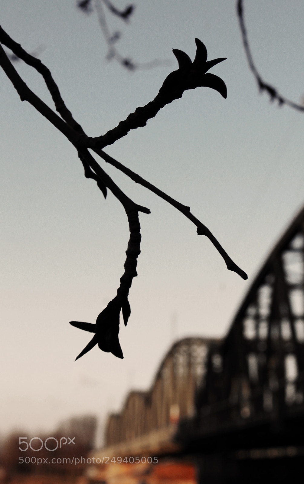 Canon EOS 700D (EOS Rebel T5i / EOS Kiss X7i) sample photo. Brighter days are coming photography
