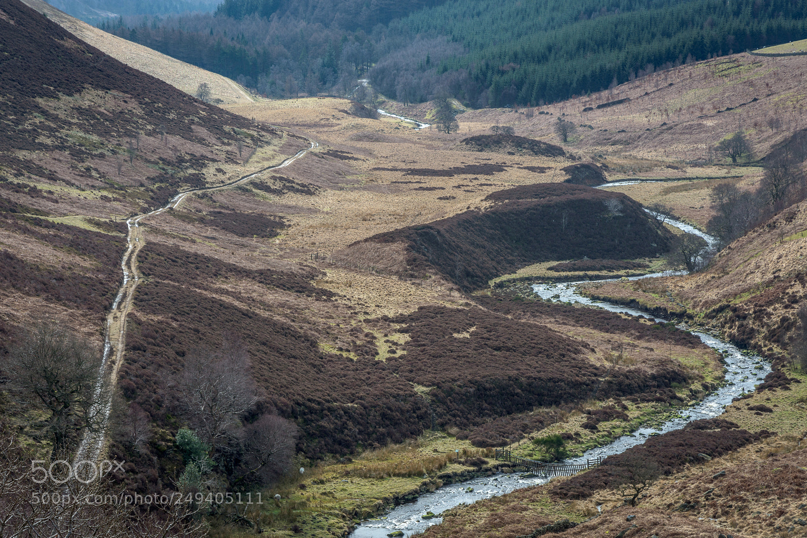 Nikon D7200 sample photo. River derwent passing through photography