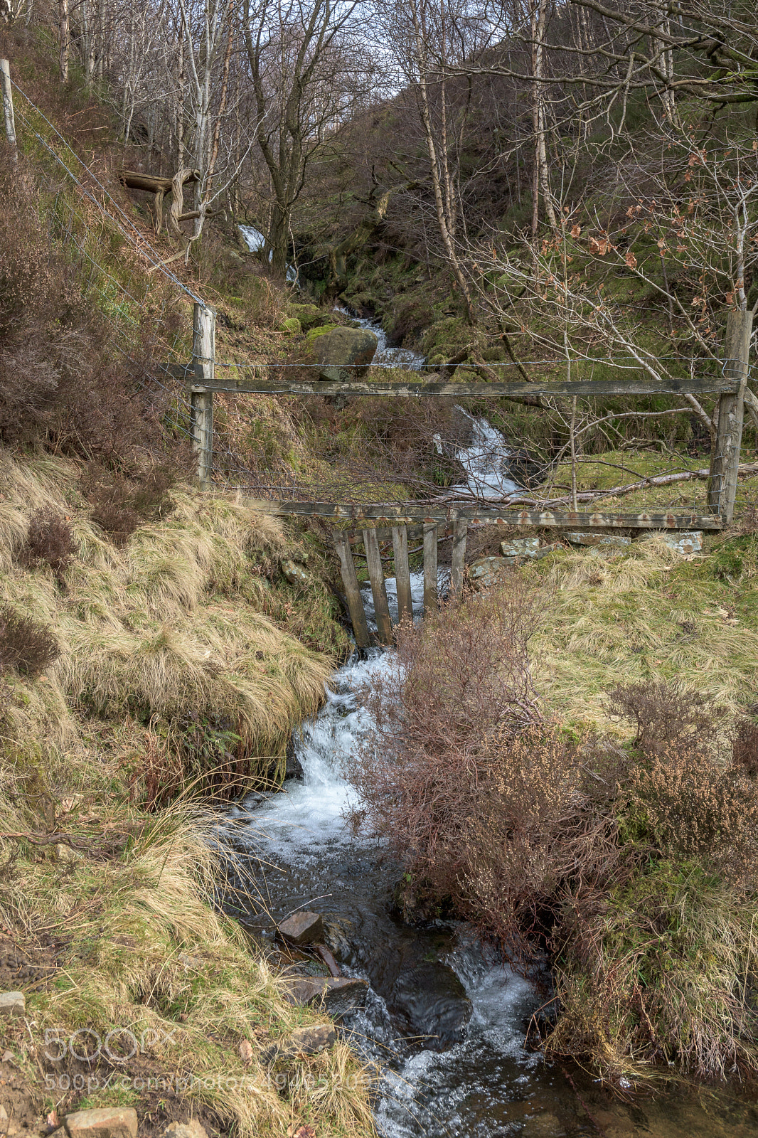 Nikon D7200 sample photo. Broadhead clough, river derwent photography