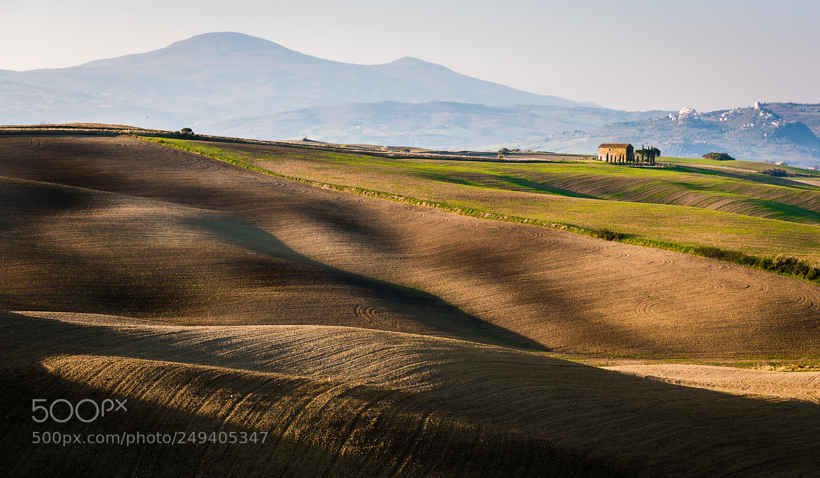 Nikon D810 sample photo. Spring field photography