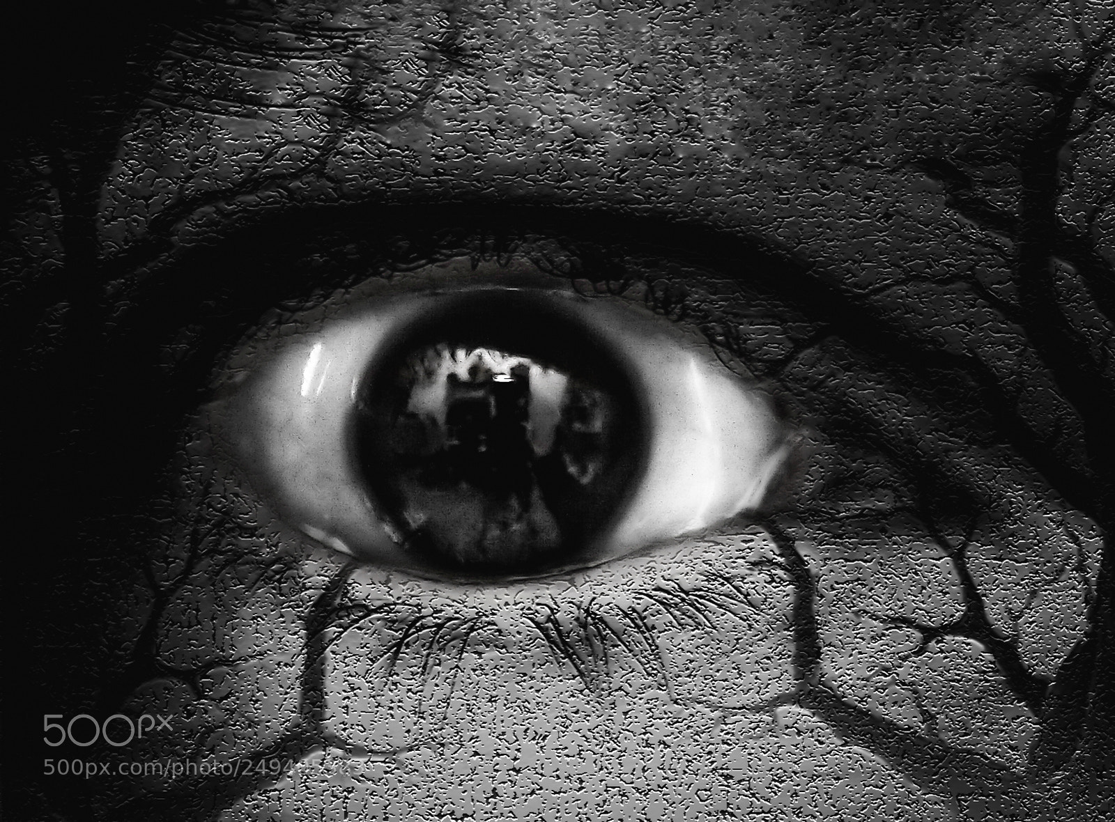 Canon EOS 30D sample photo. The eye photography