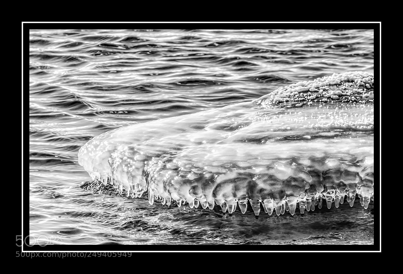 Nikon D3300 sample photo. The ice gator showed photography