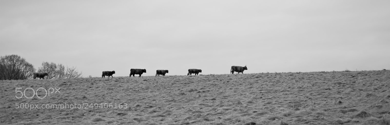 Nikon D3300 sample photo. Moving on... photography