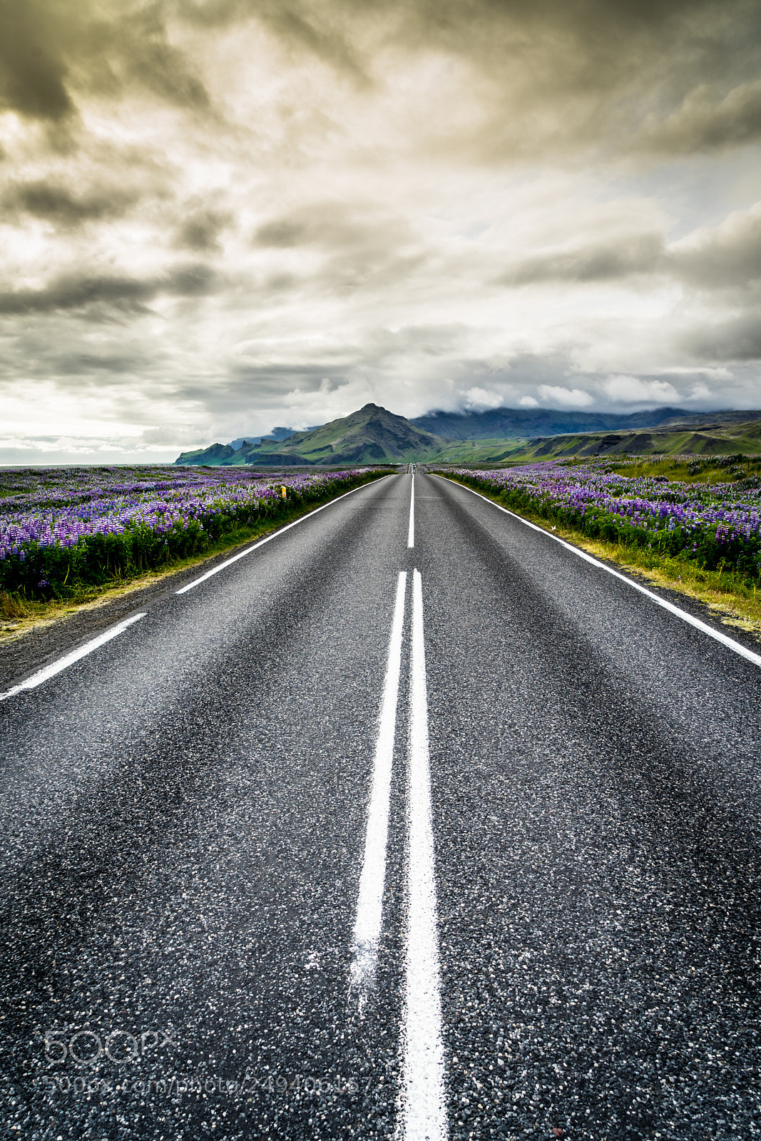 Sony a7 II sample photo. Highway no. 1 photography