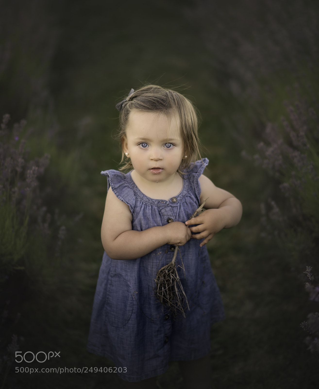 Nikon D610 sample photo. Untitled photography