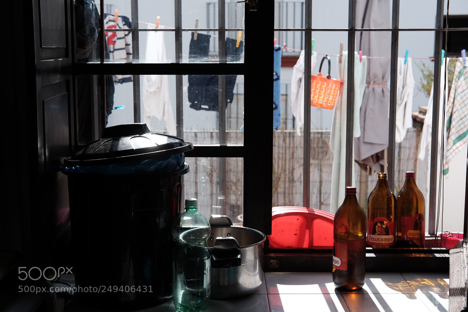 Fujifilm X-T1 sample photo. Cosmos in the chaos photography
