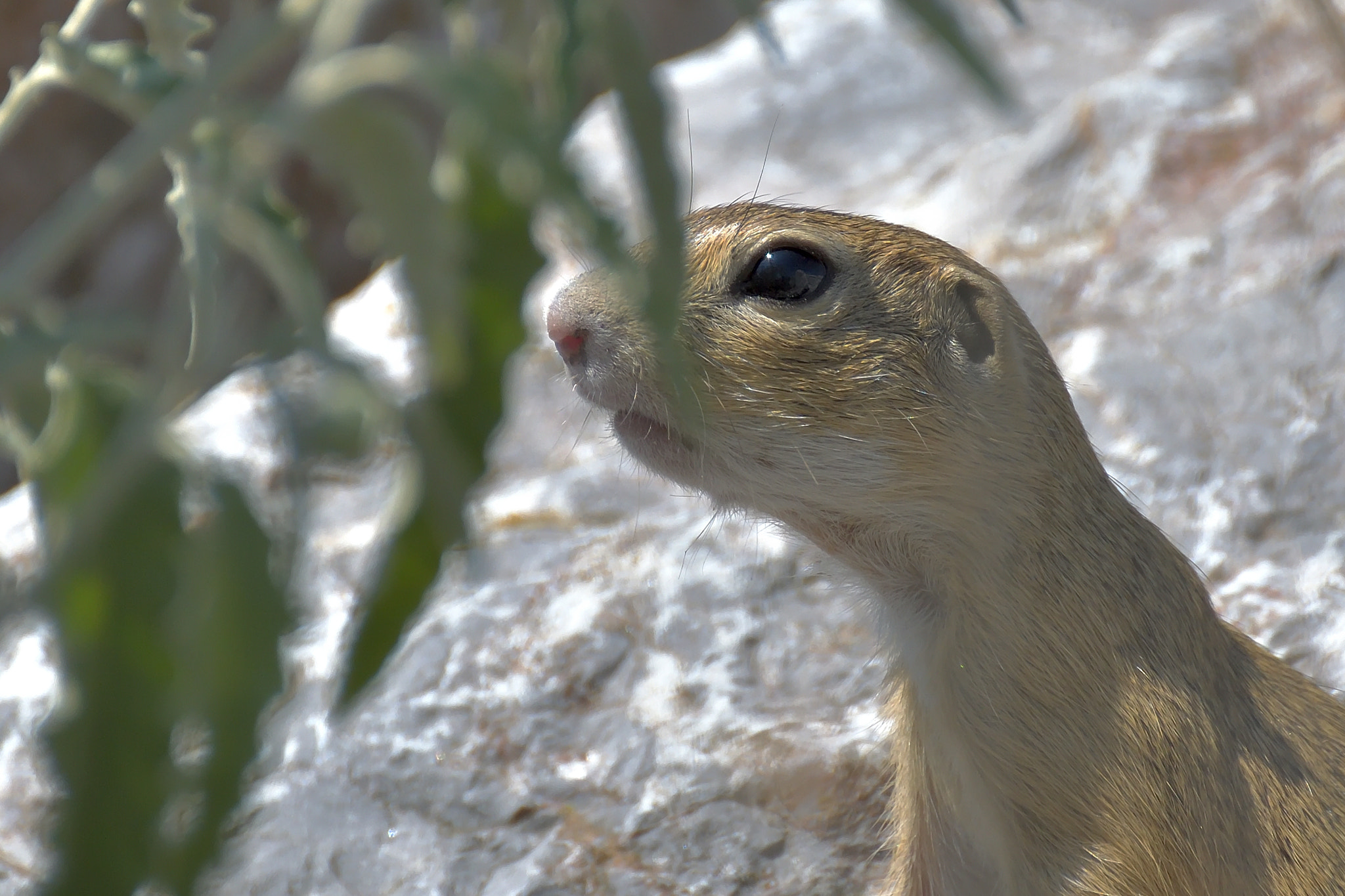 Nikon D3200 sample photo
