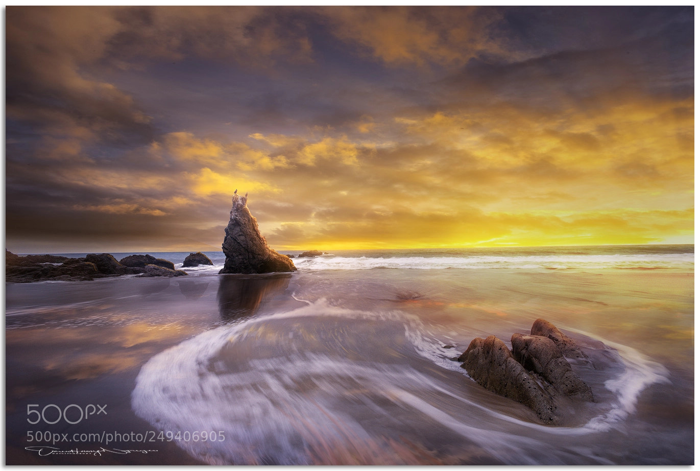 Nikon D810 sample photo. El matador beach photography