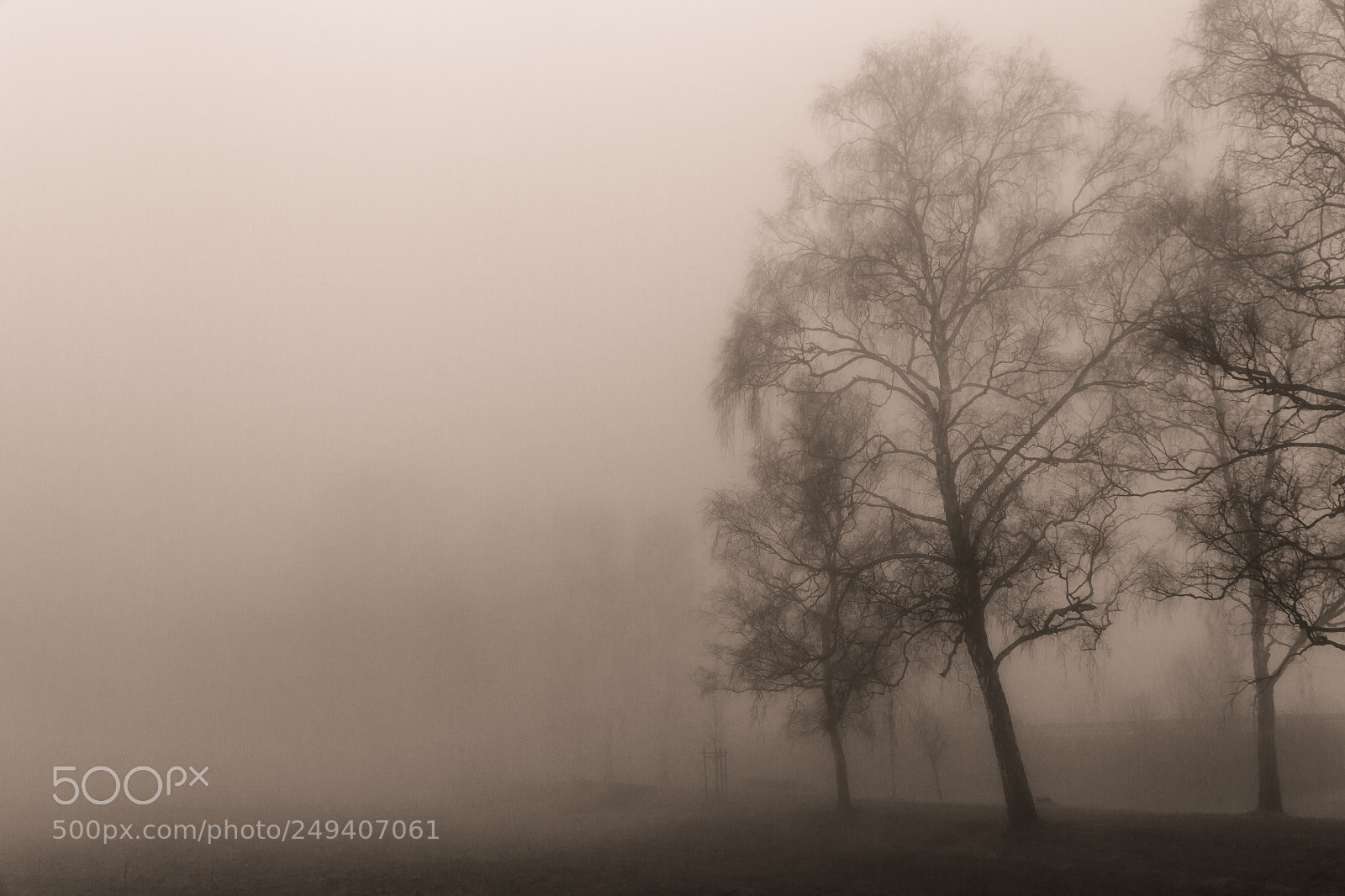 Canon EOS 7D sample photo. Foggy morning photography