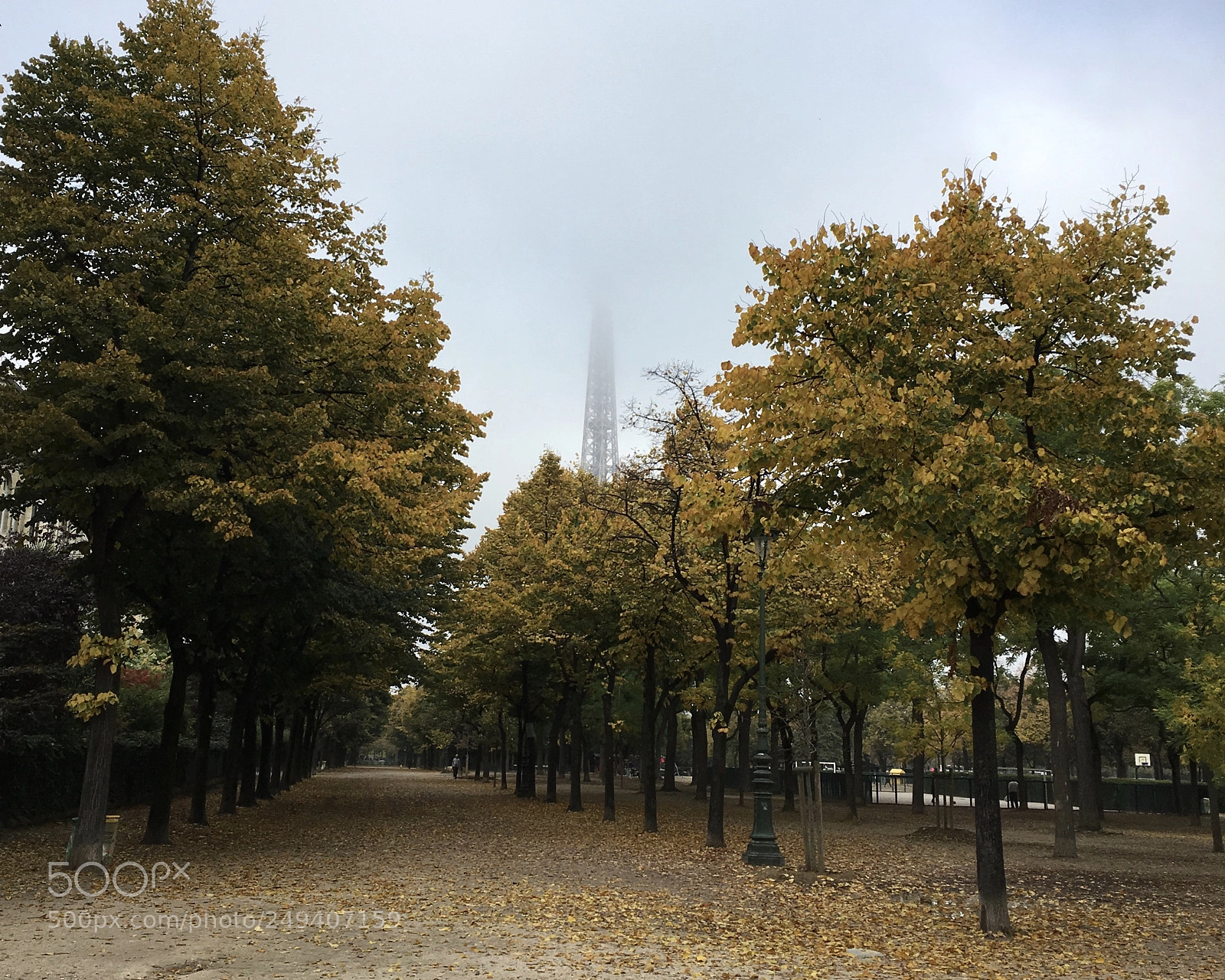 Apple iPhone SE sample photo. Autumn in paris photography