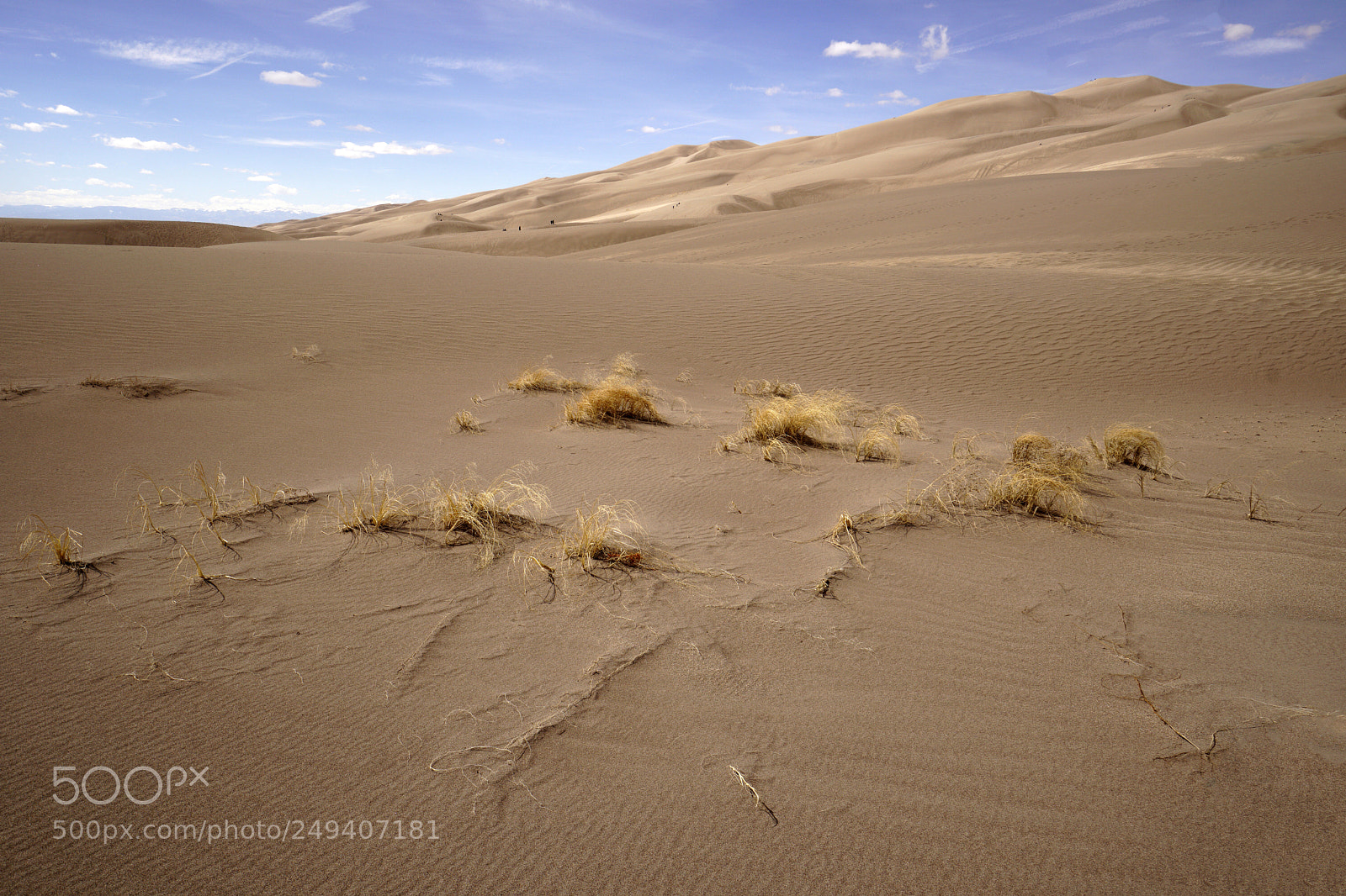 Sony a6500 sample photo. Desert grass and sand photography