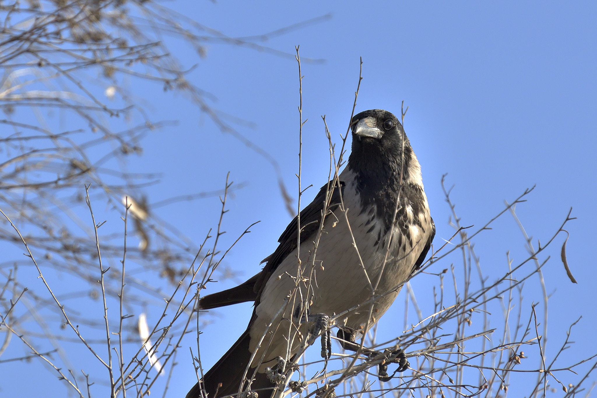 Nikon D3200 sample photo
