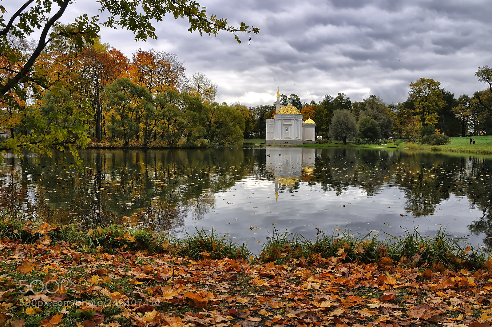 Nikon D90 sample photo. А зимы все нет И не надо photography