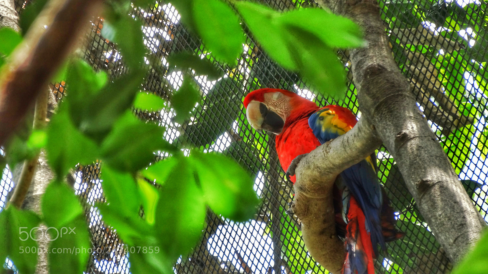 Sony Cyber-shot DSC-HX20V sample photo. ¿asleep? photography