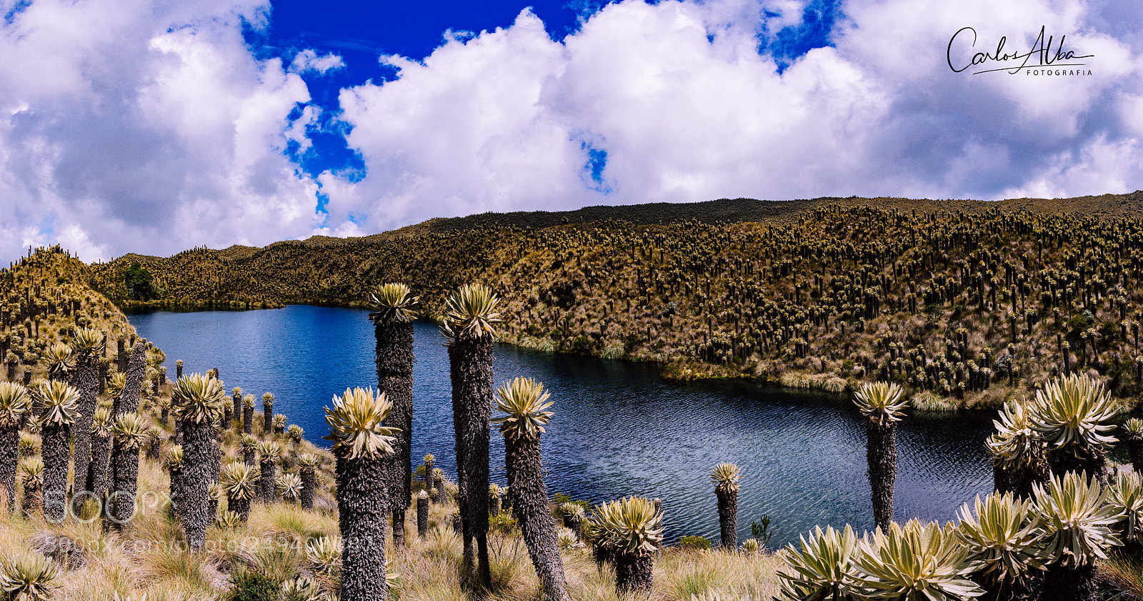 Nikon D5300 sample photo. Lake in the heights photography
