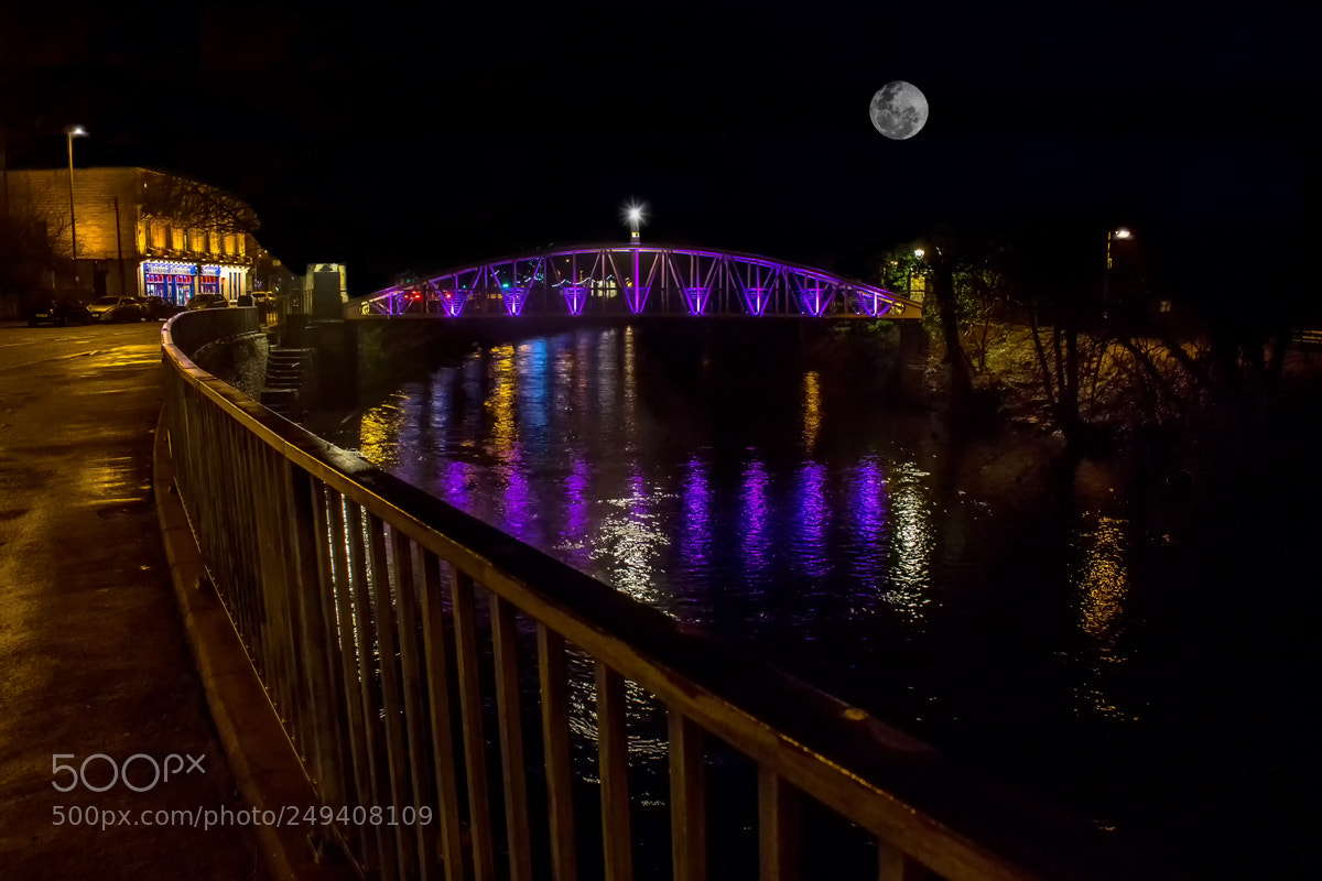 Canon EOS 700D (EOS Rebel T5i / EOS Kiss X7i) sample photo. Moonlit walk photography