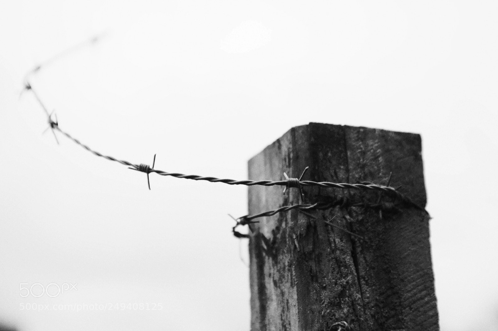 Sony Alpha DSLR-A900 sample photo. Wire to the sky photography