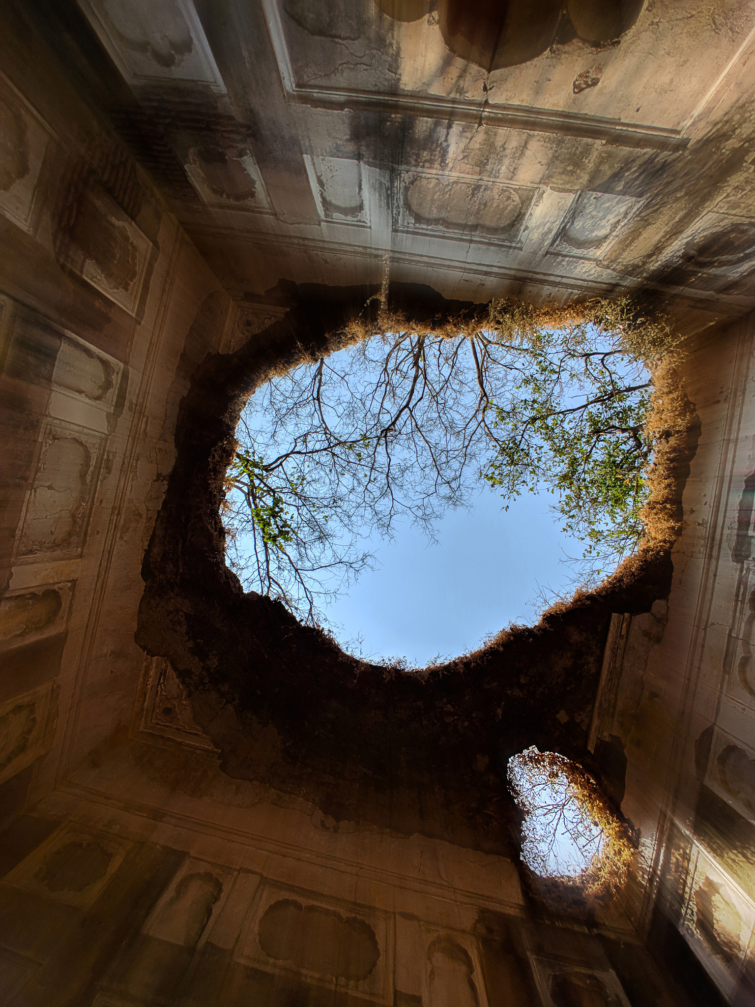 LG V30 sample photo. Looking up from a ruin photography