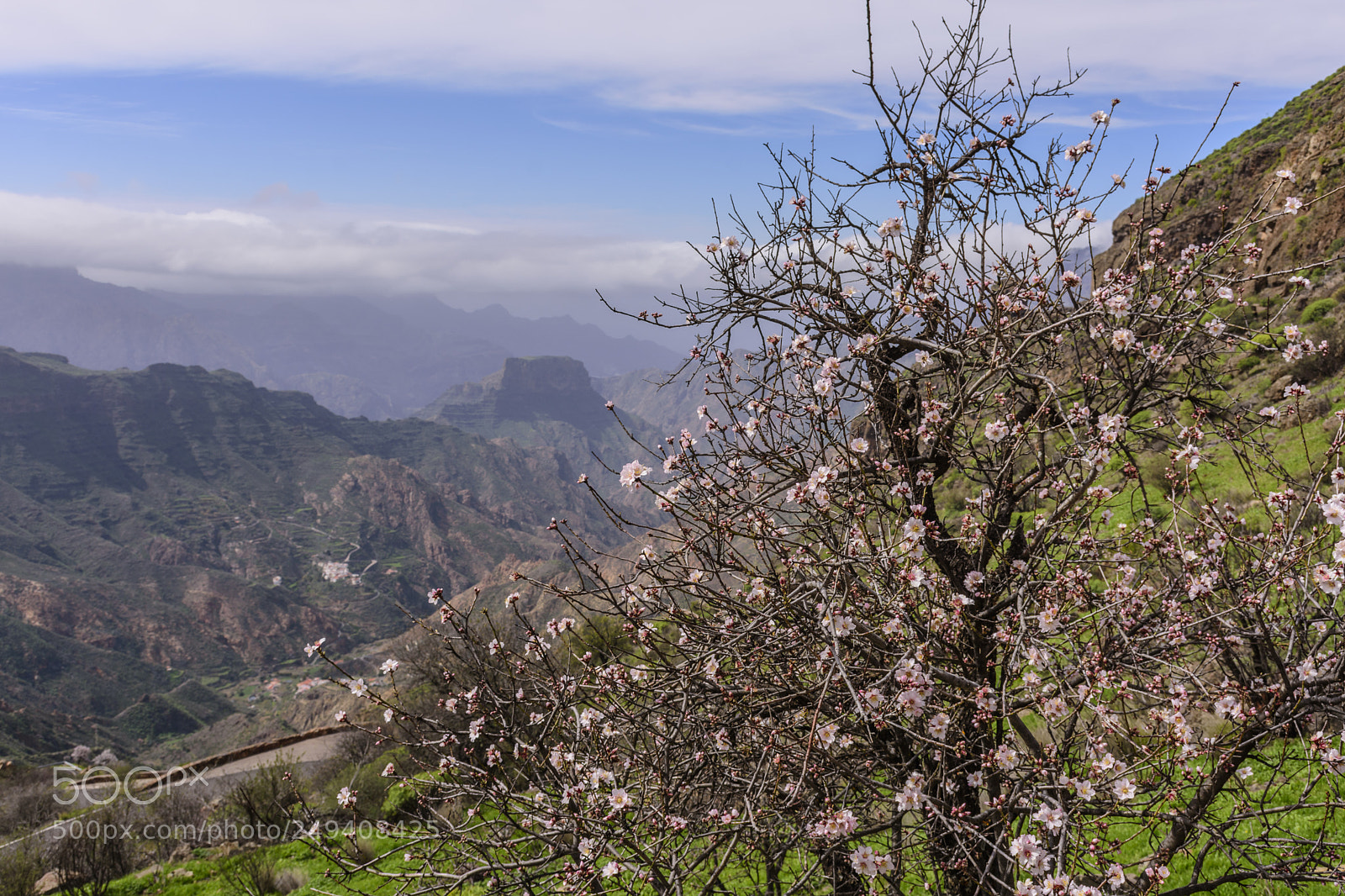 Nikon D7200 sample photo. Springtime photography