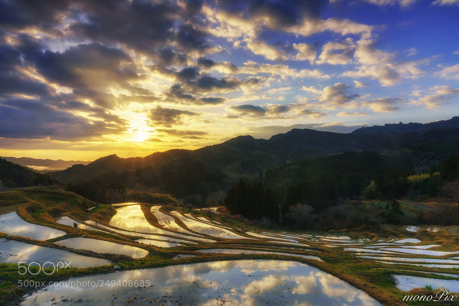Sony a7R III sample photo. Paddy field photography