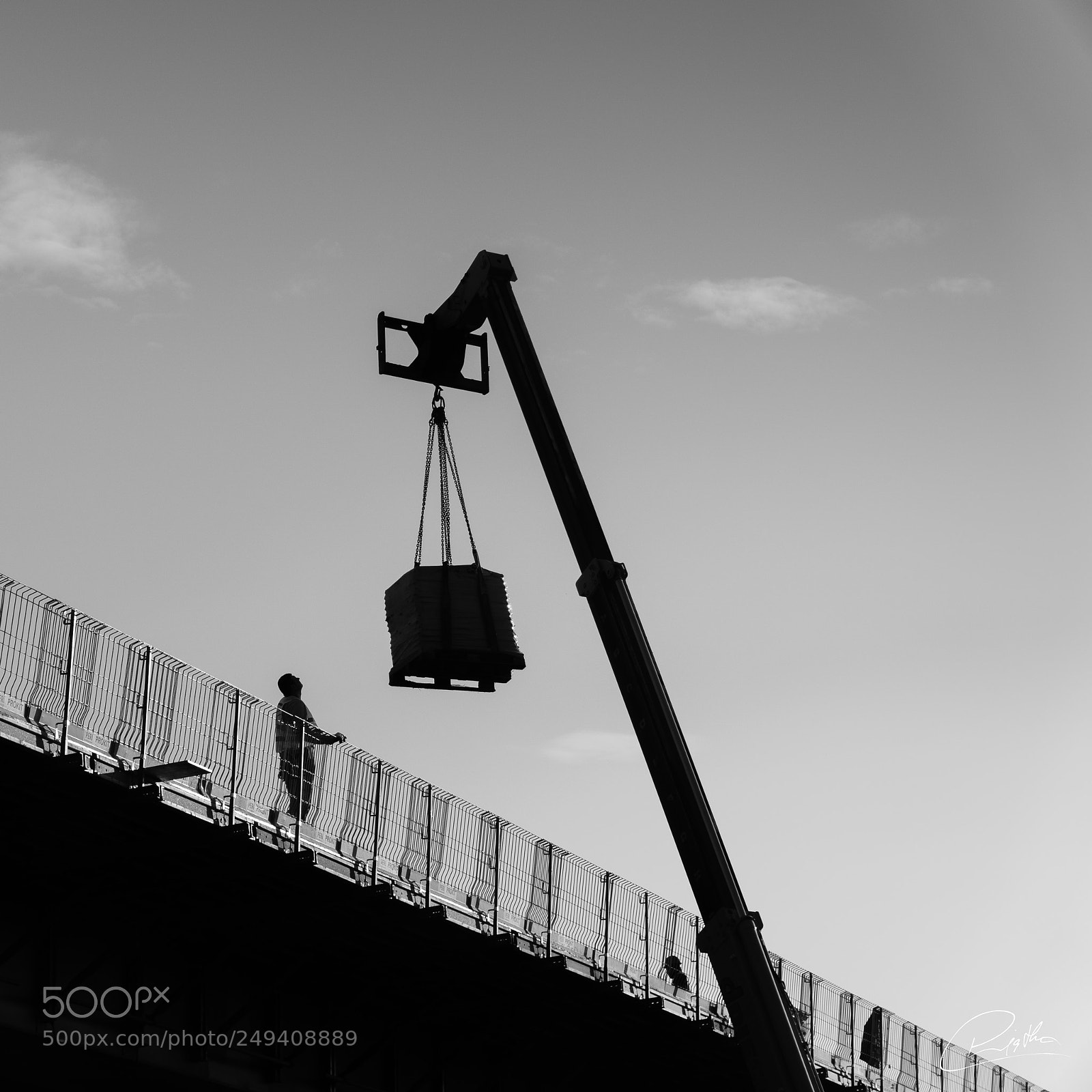 Sony a6300 sample photo. Crane photography