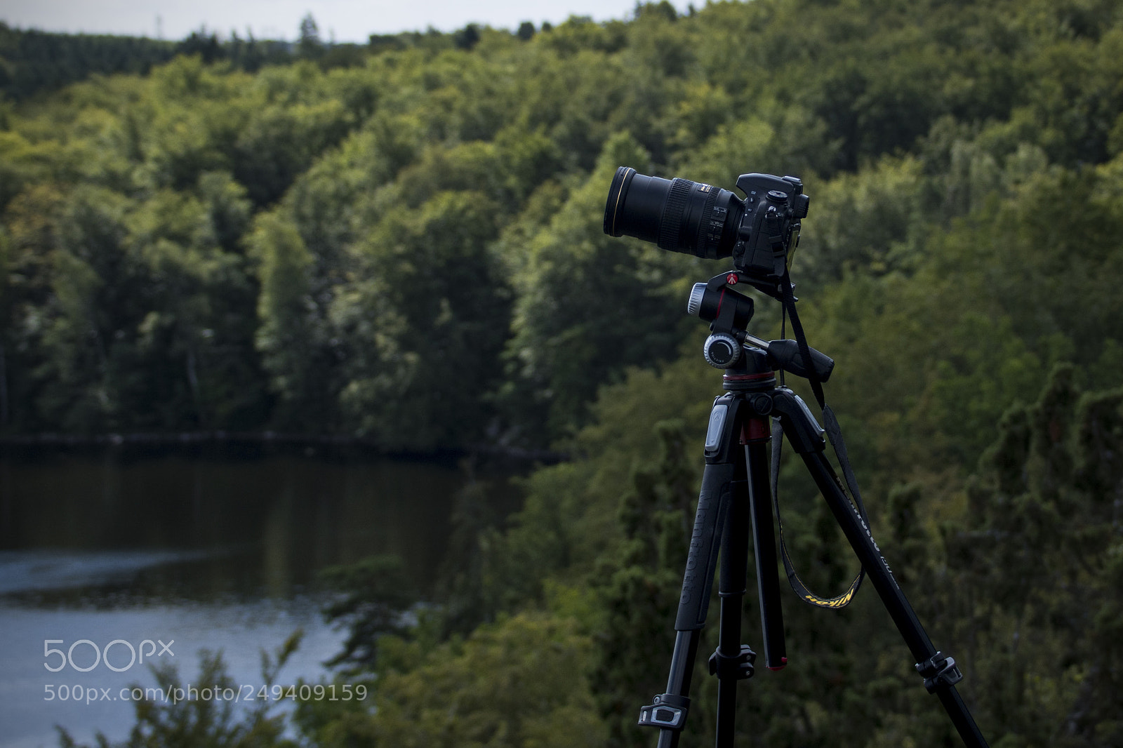 Nikon D500 sample photo. Nikon d750 plus equipment photography
