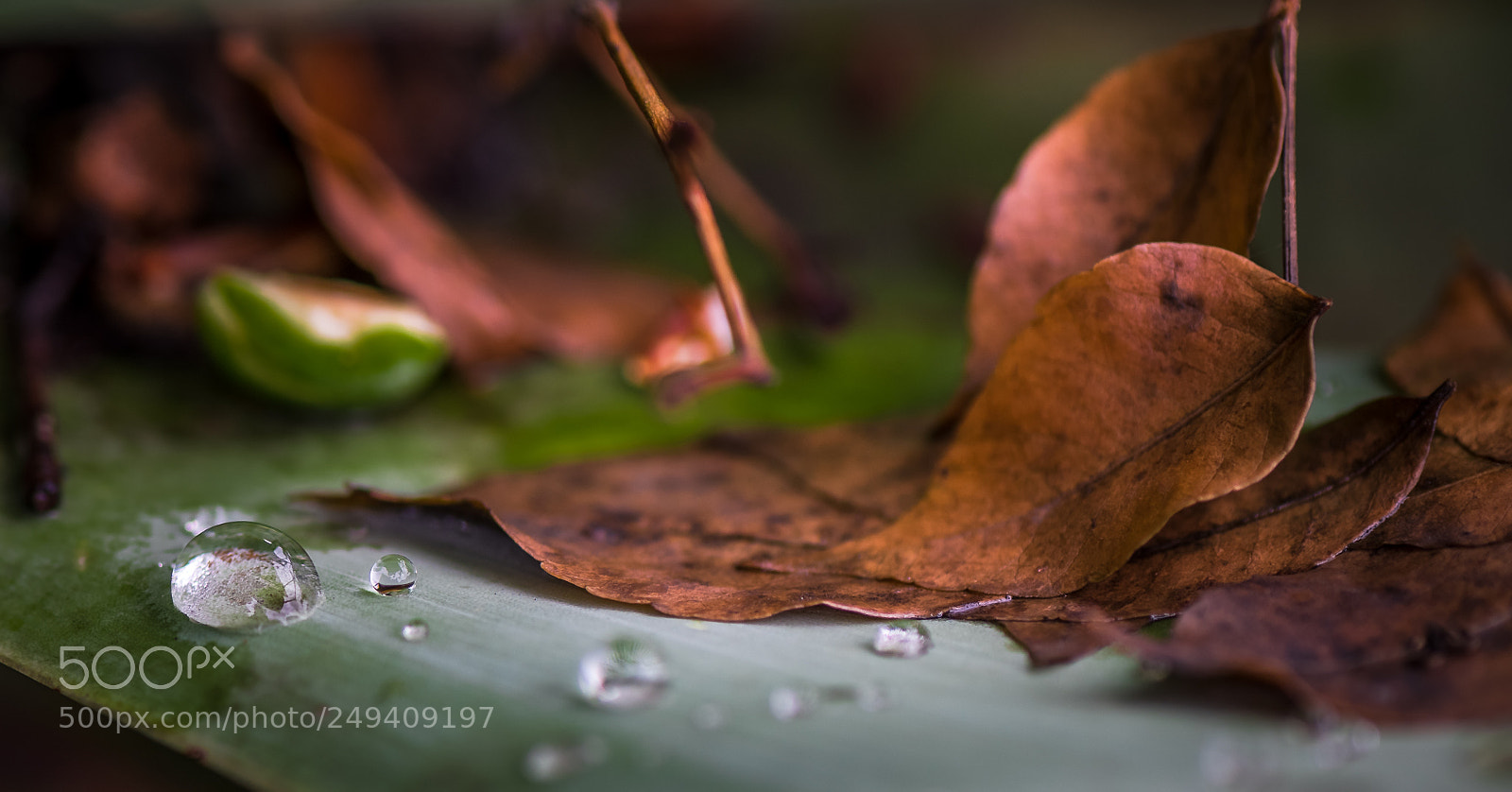 Nikon D810 sample photo. Down world photography
