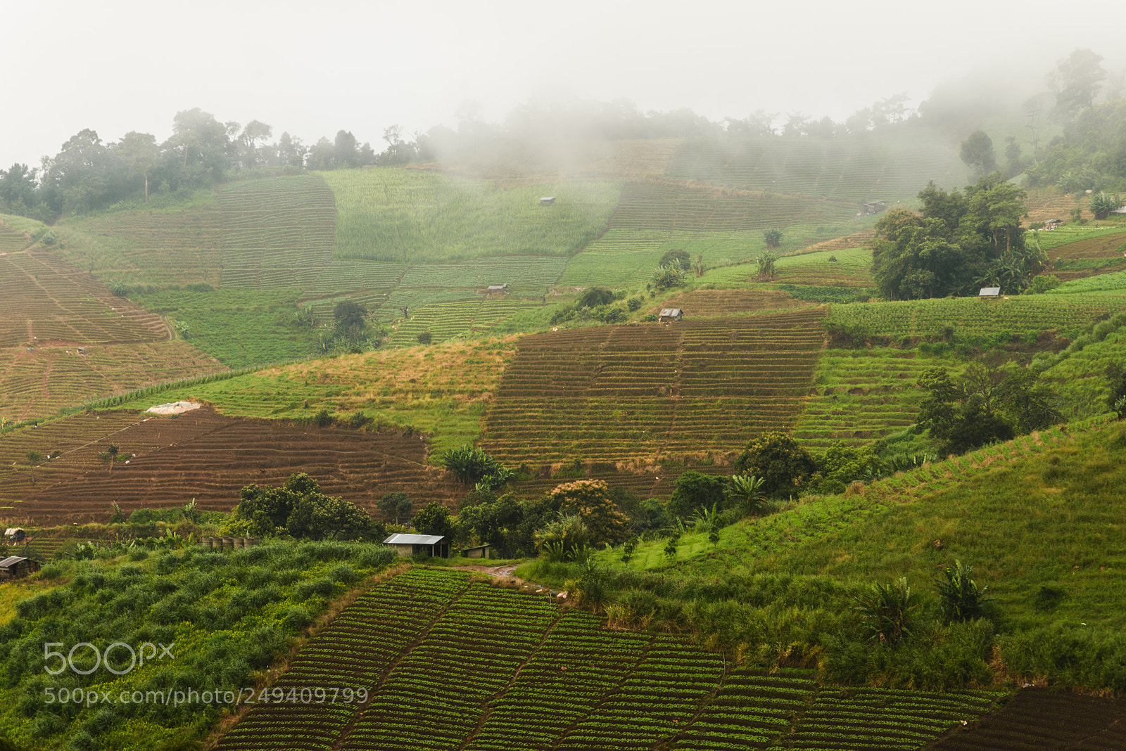 Nikon D610 sample photo. Mountain & mist photography