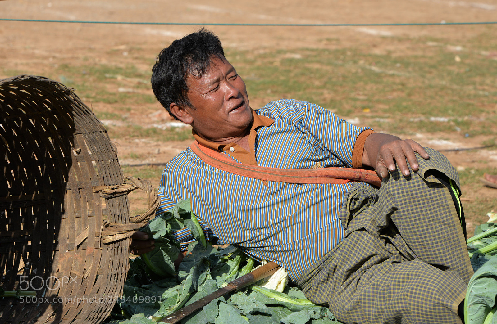 Nikon D610 sample photo. Relax /6365 photography