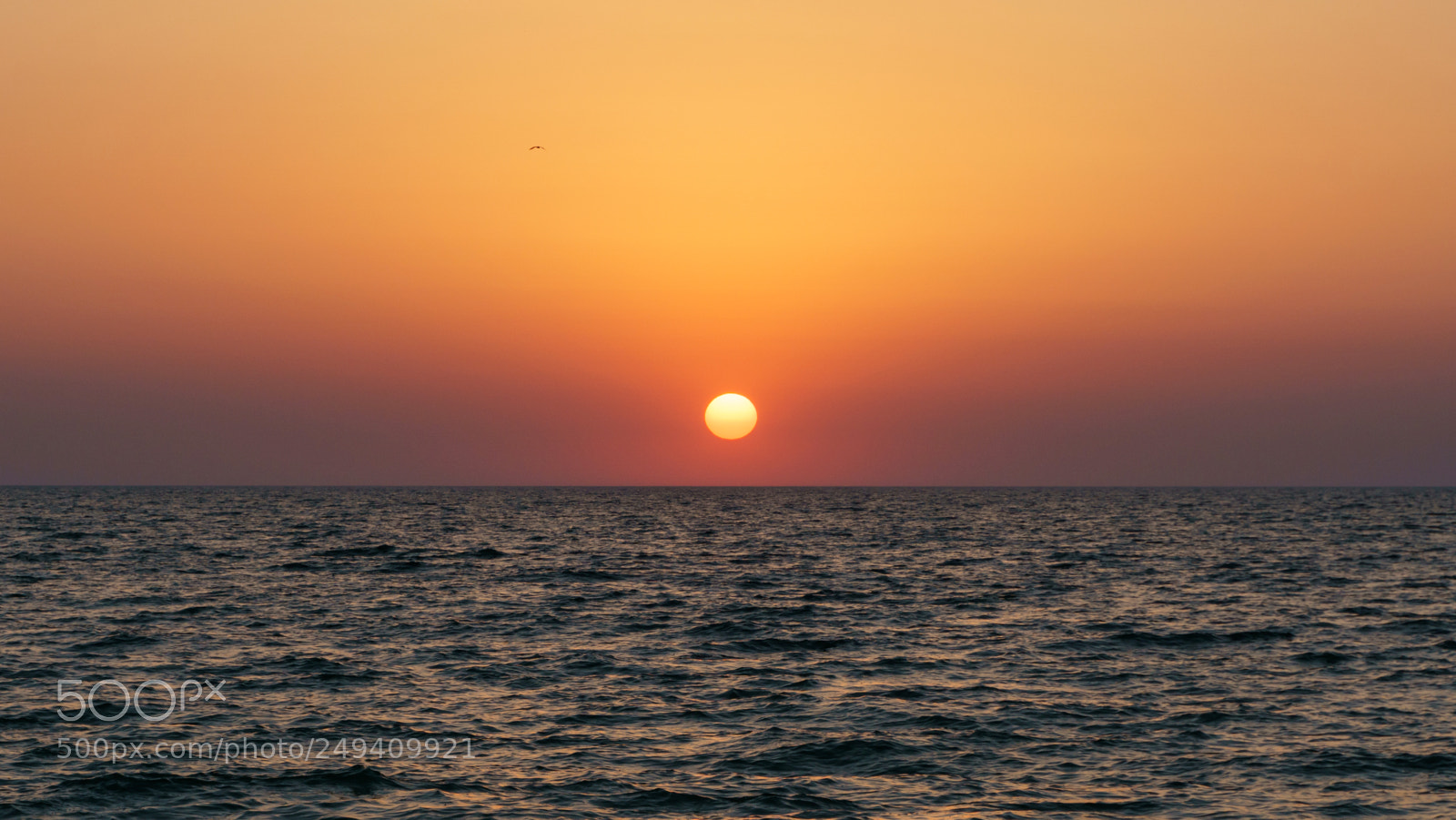 Sony a6000 sample photo. Sunset on the sea photography