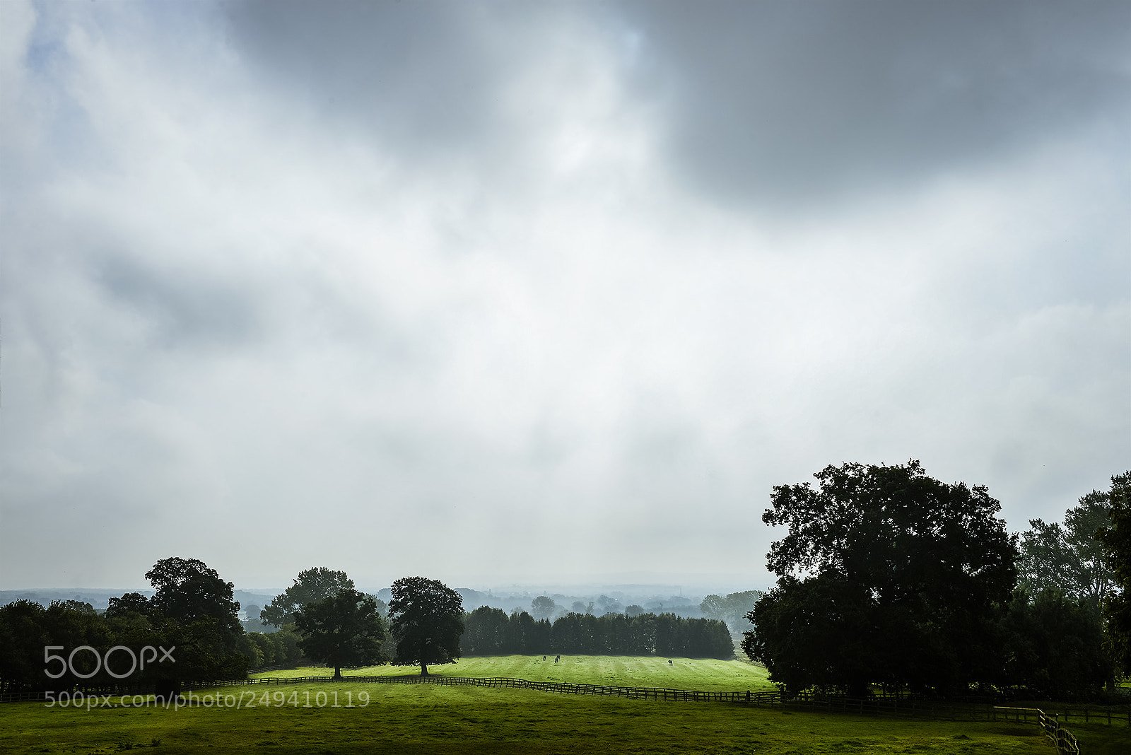 Nikon D610 sample photo. Fields of pasture photography
