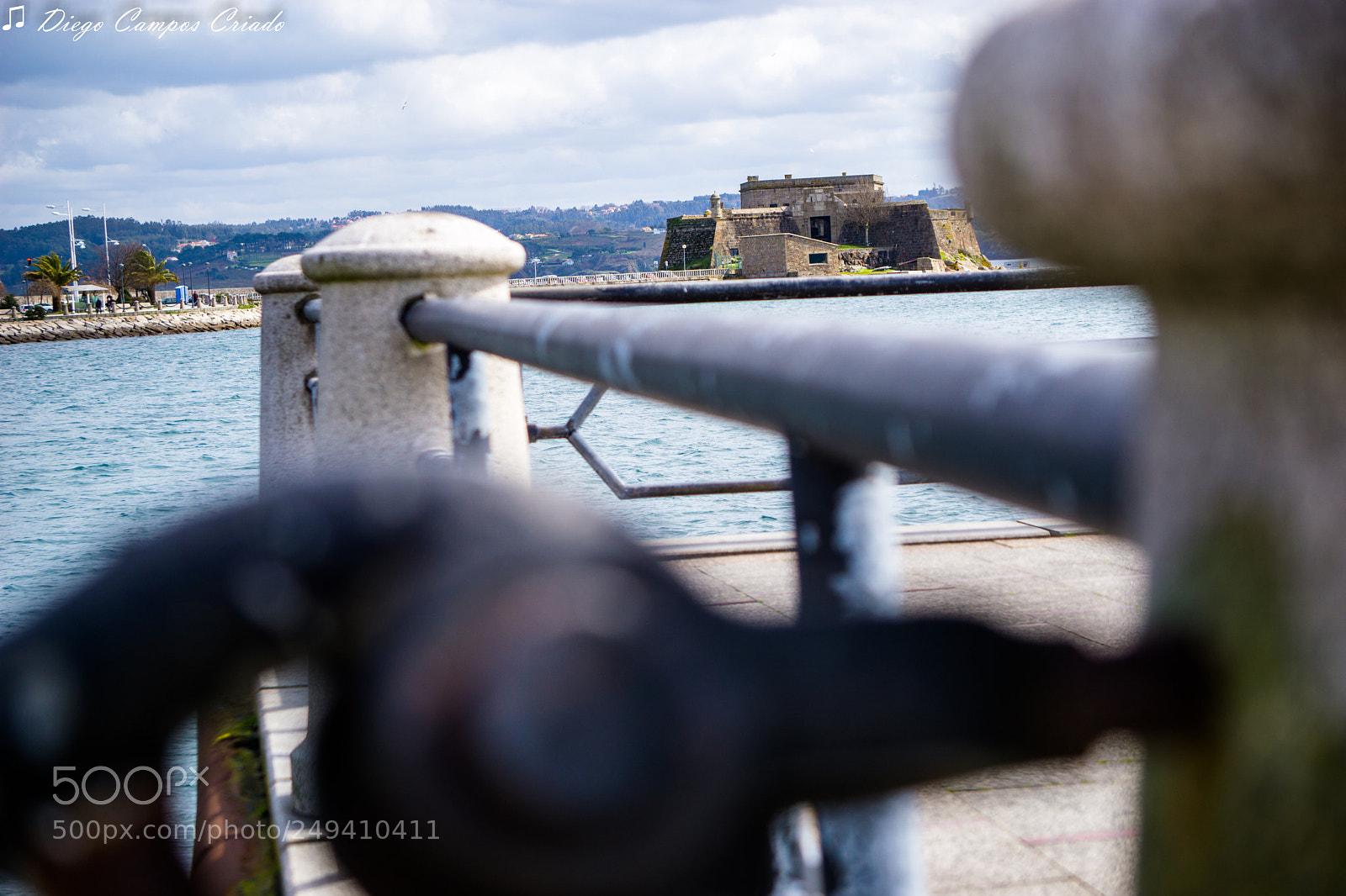 Sony a6000 sample photo. Dsc photography