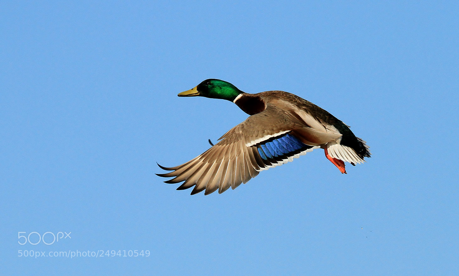 Canon EOS 7D sample photo. Flight plan photography