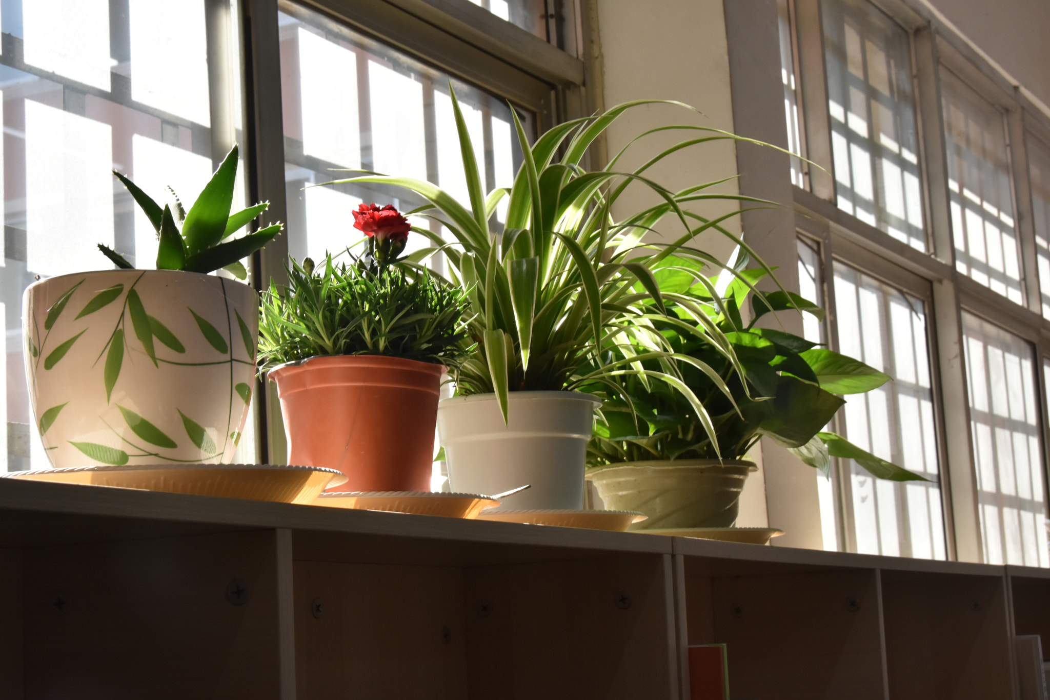 Nikon D7200 sample photo. 办公室一角 photography
