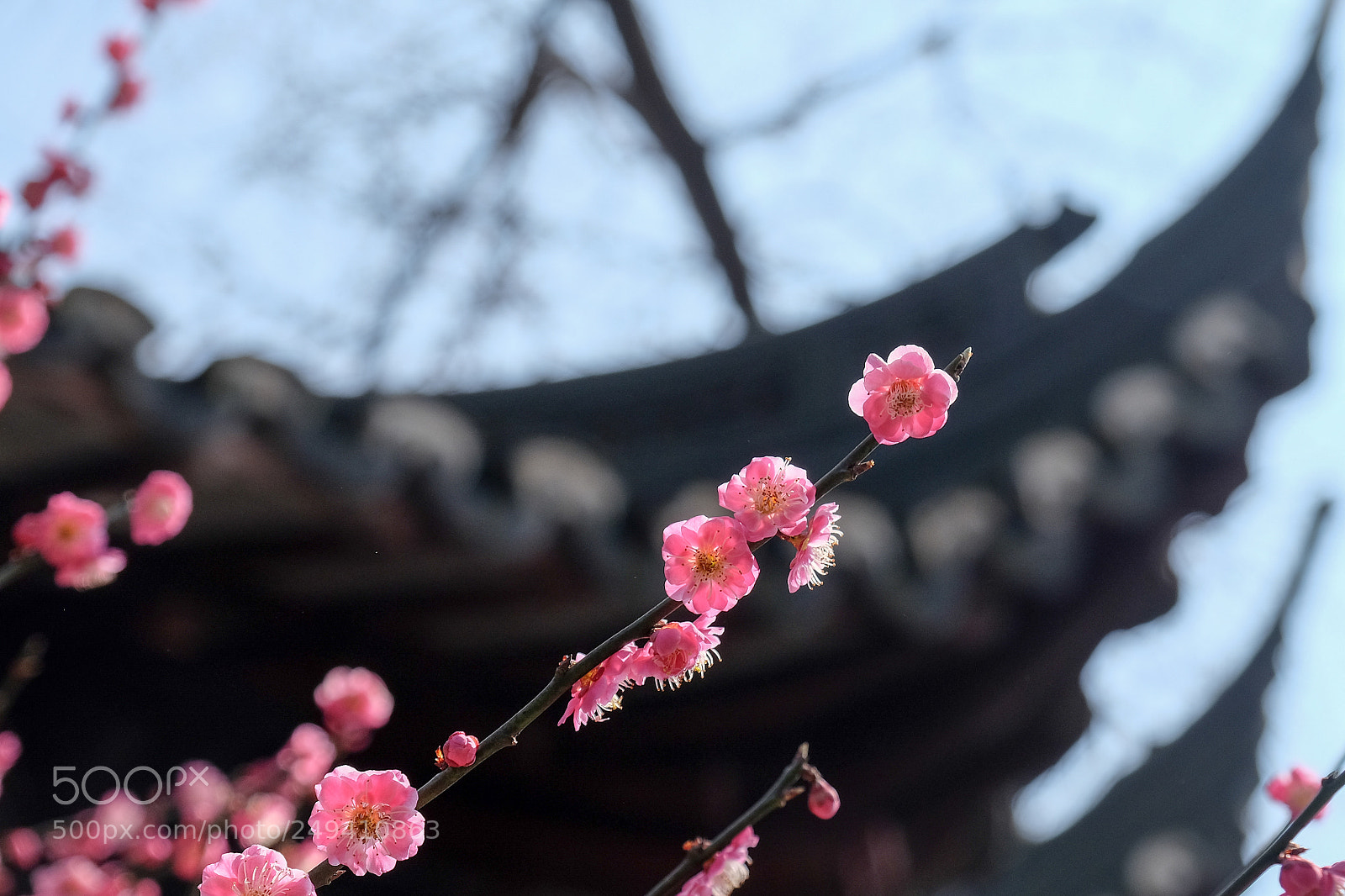 Fujifilm X-T1 sample photo. 2018 shanghai trip photography